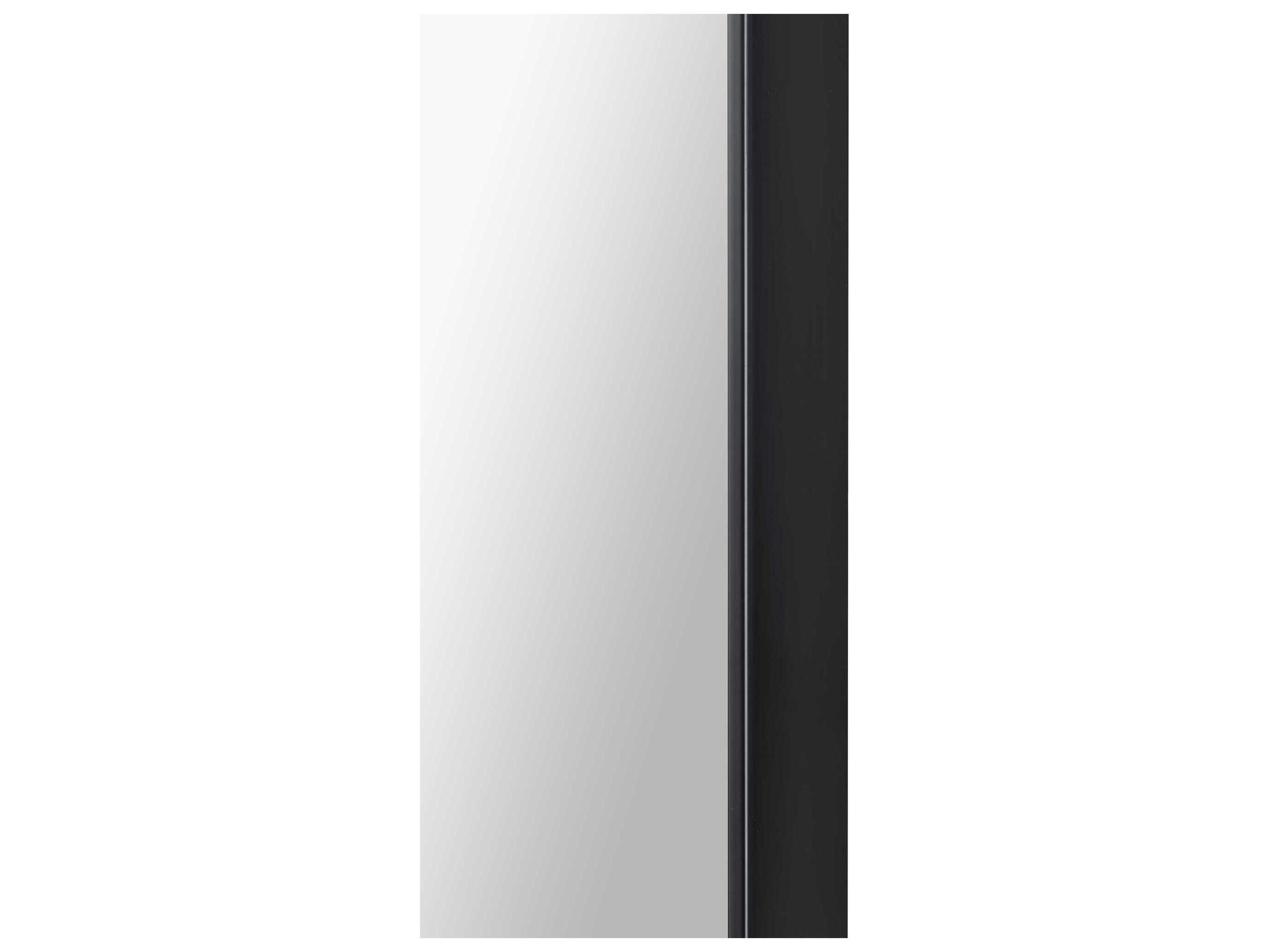 Renwil Farida Matte Black Wall Mirror