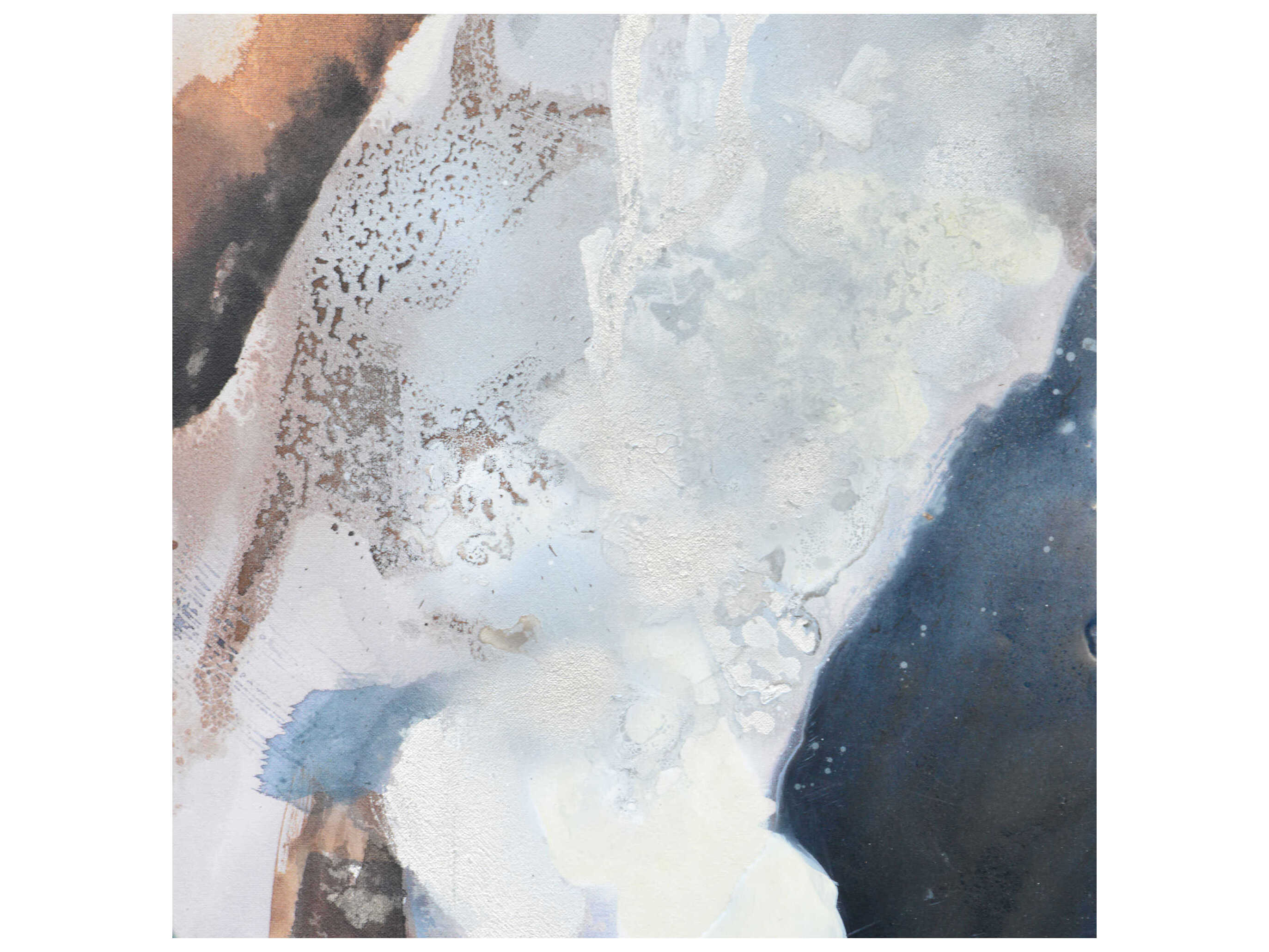 Renwil Antofalla Canvas Art