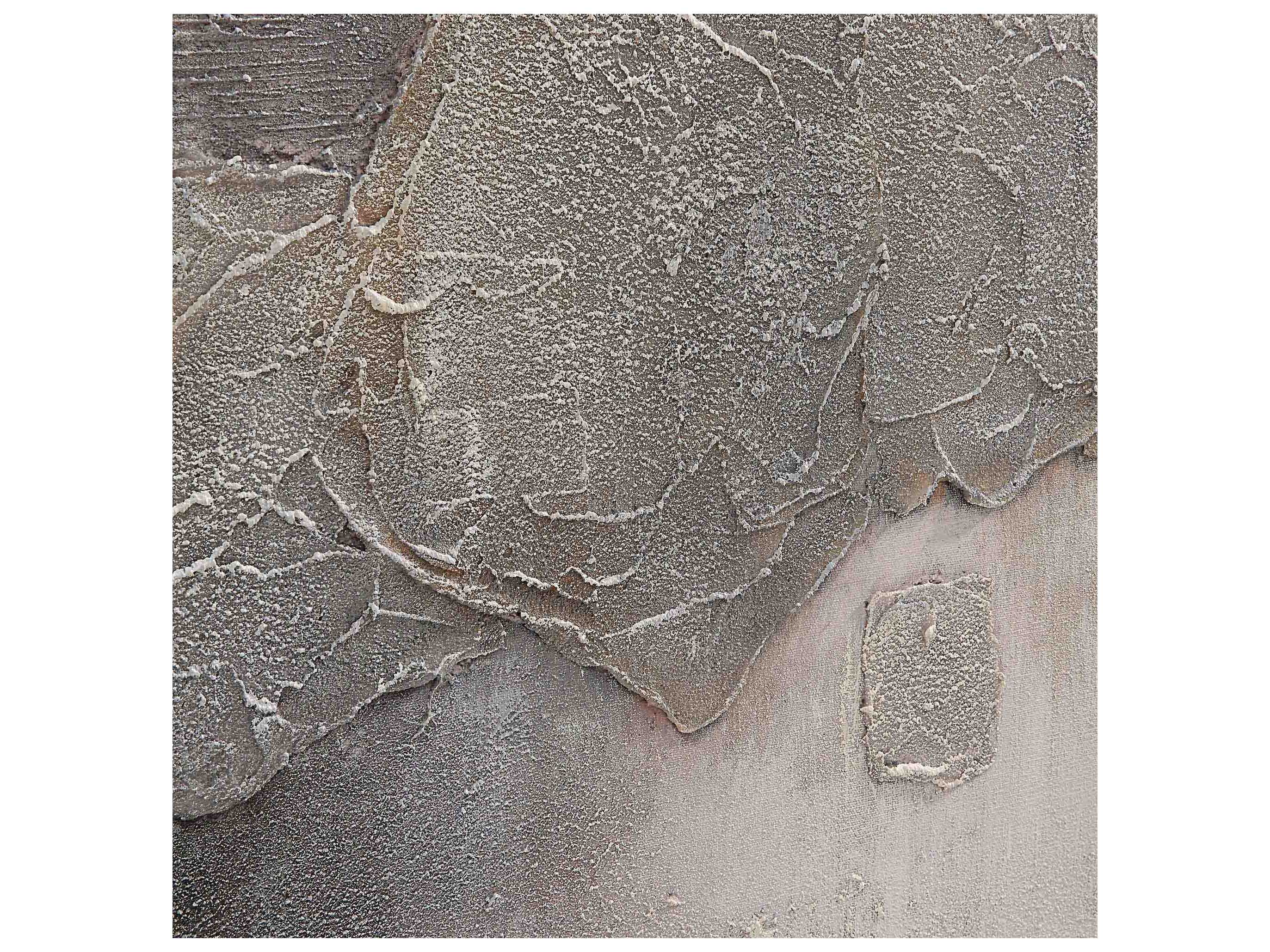 Renwil Sirius Canvas Art