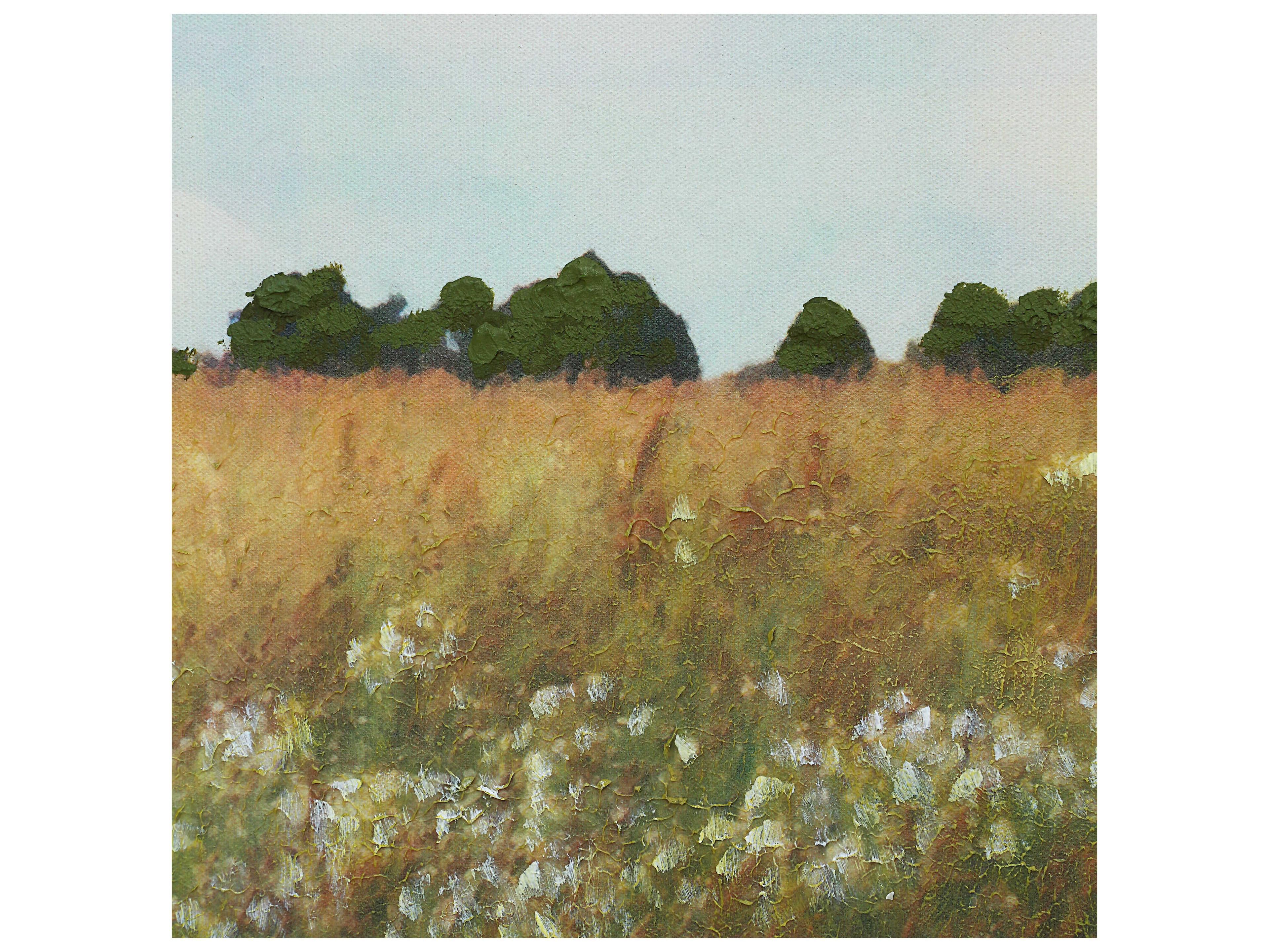 Renwil Lasso Canvas Art