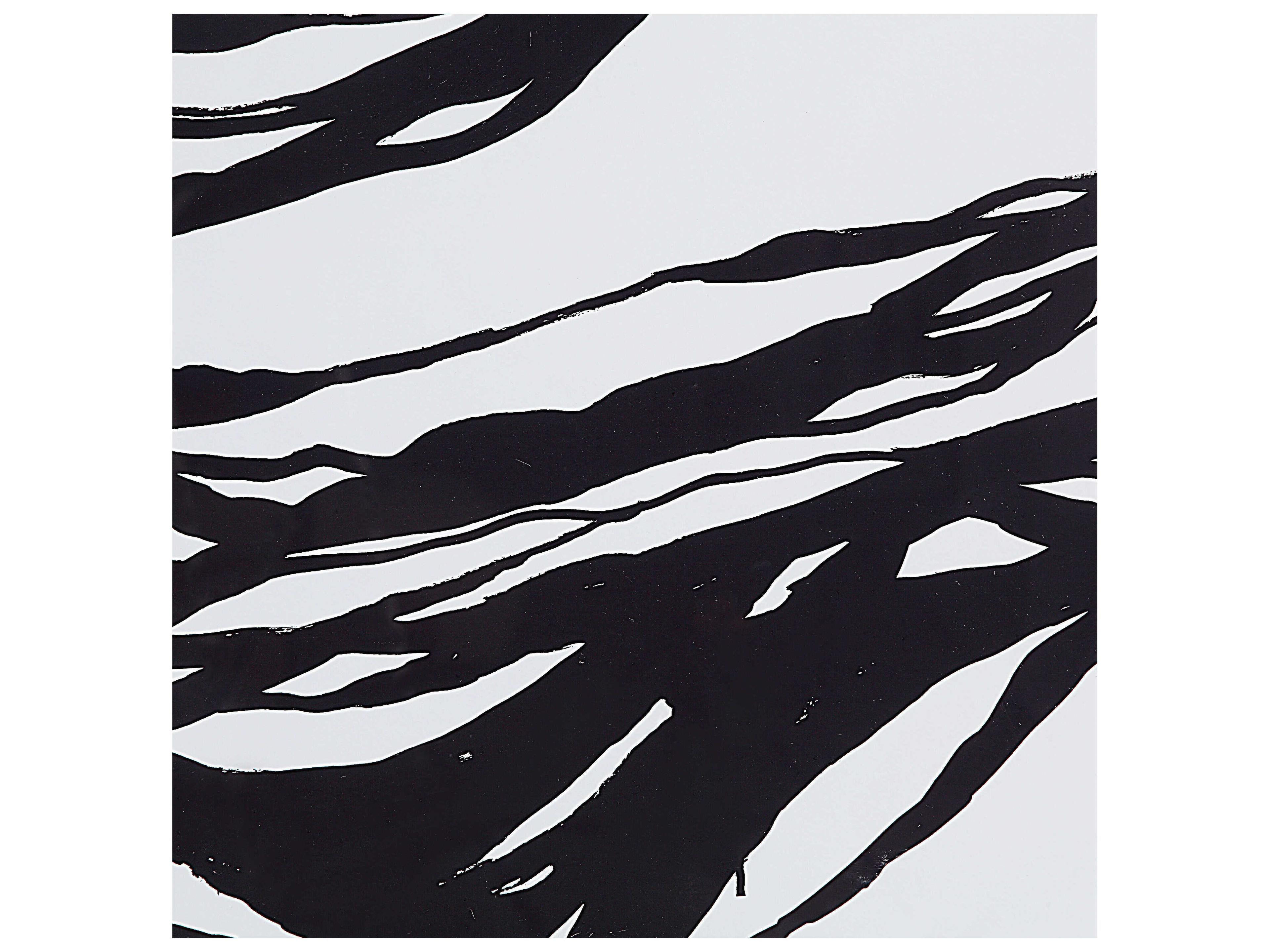 Renwil Mica Wall Art with Wood Frame