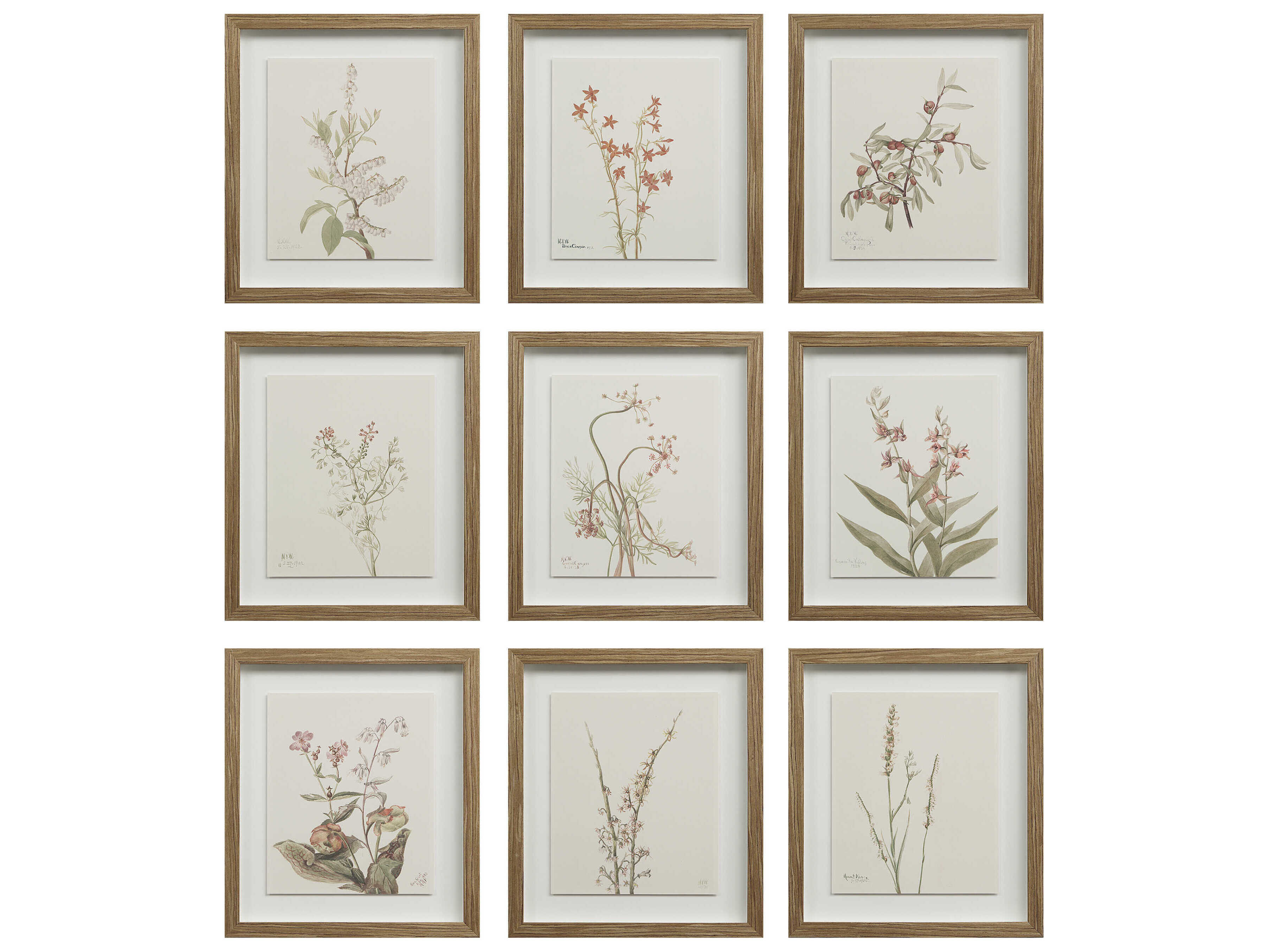 Renwil Crema Wall Decor