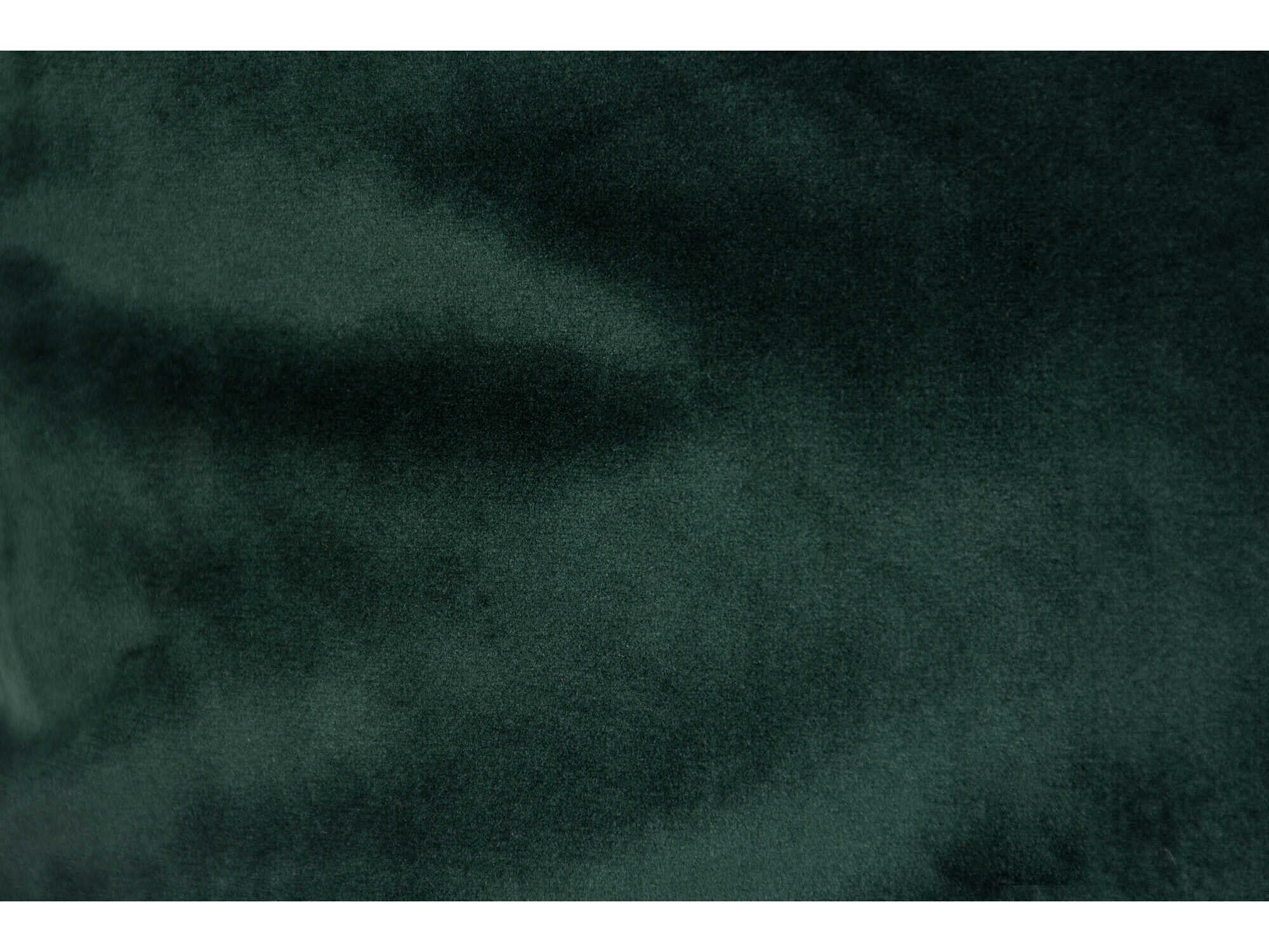 Renwil Olive Indoor Pillow