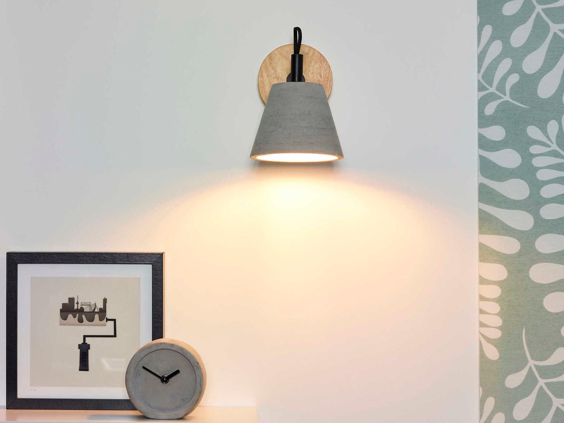 Renwil Turtle 1-Light Grey Wall Sconce