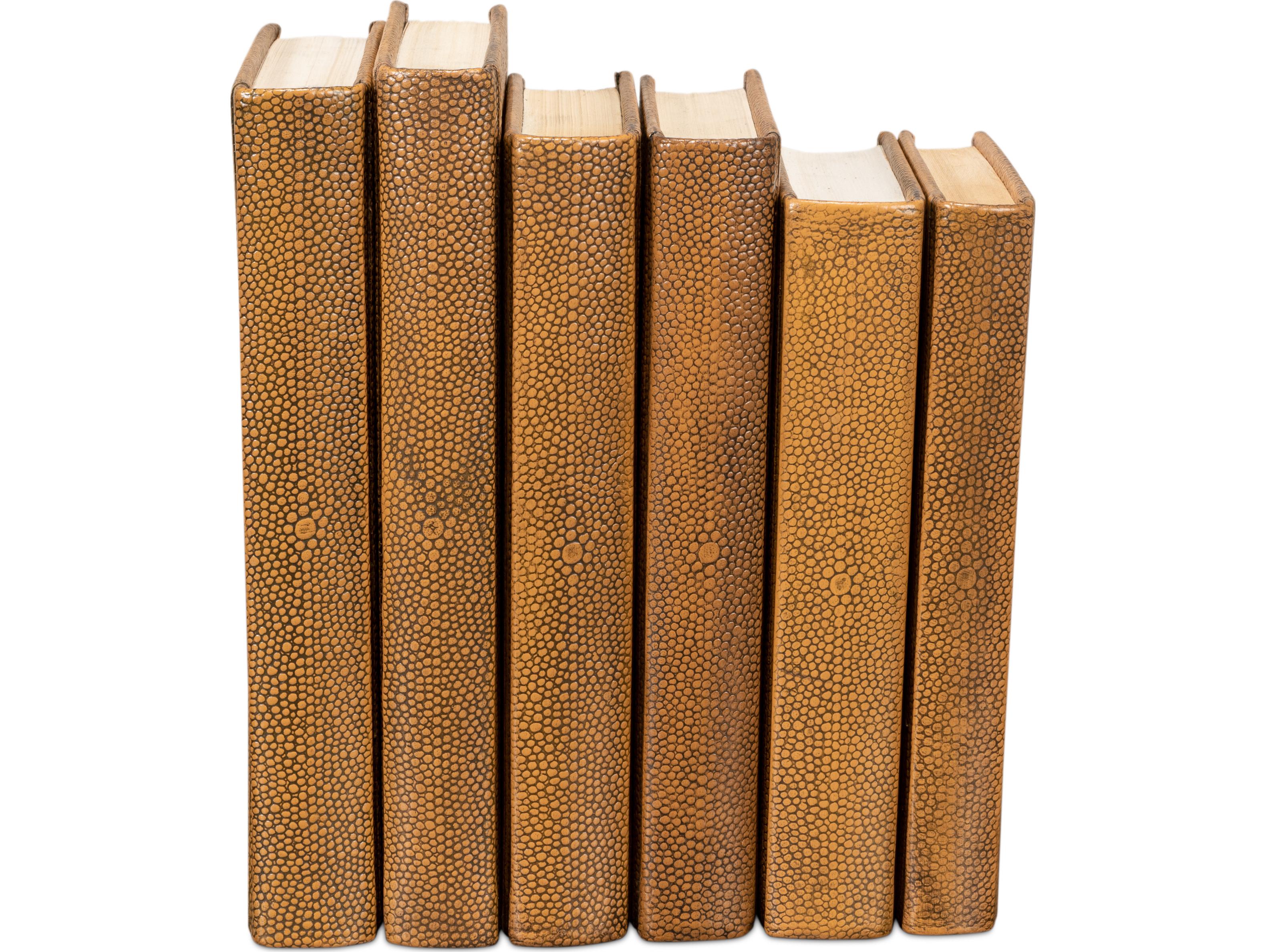 Sarreid Ltd Shagreen Books Set of 12 Tawny Brown
