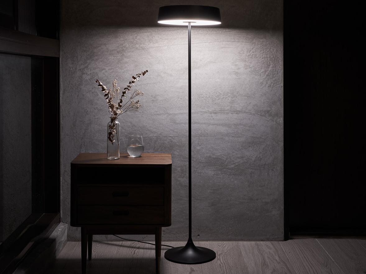 Seed Design China Led Black LED Floor Lamp