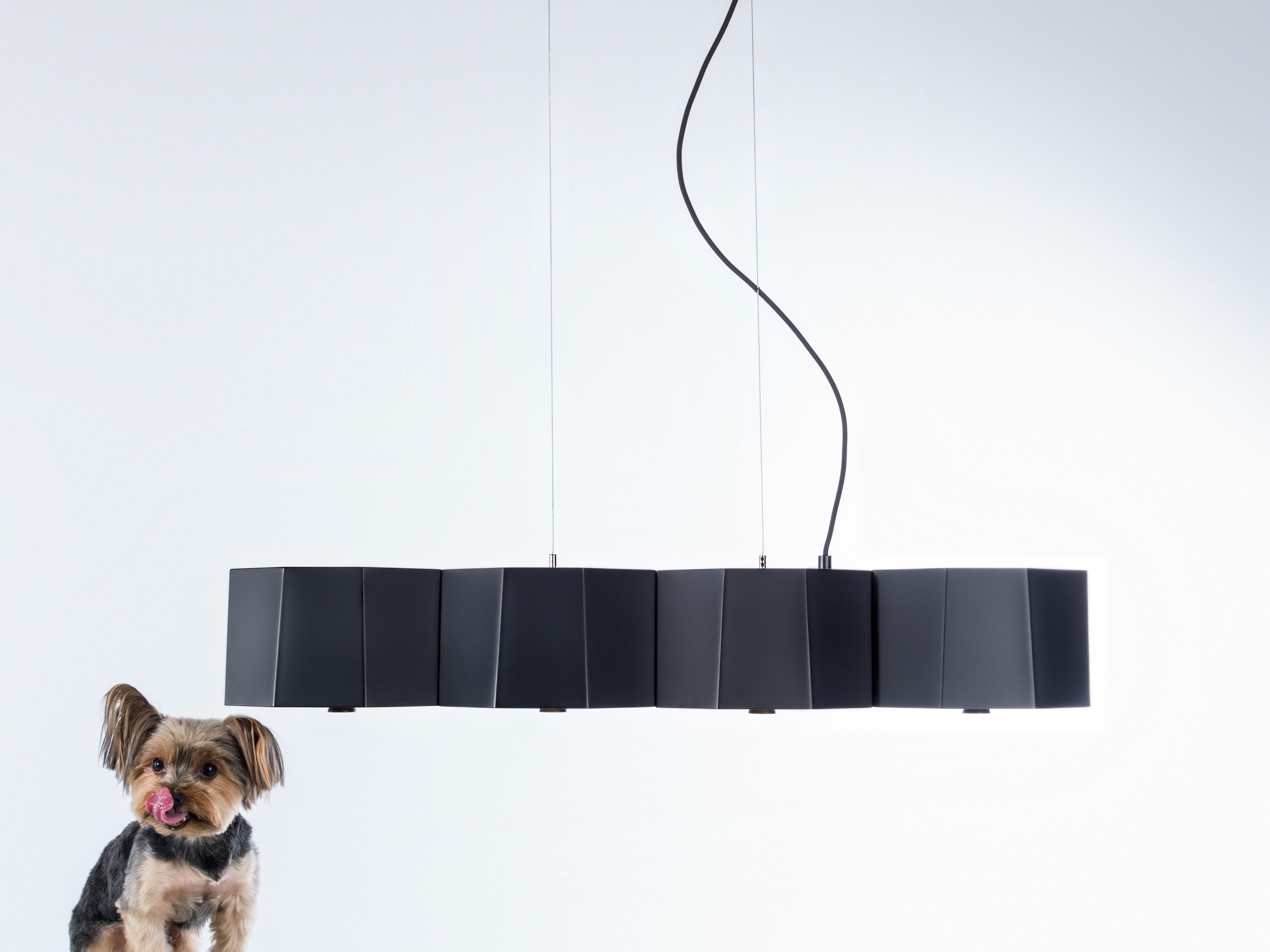 Seed Design Zhe Black Linear Island Pendant