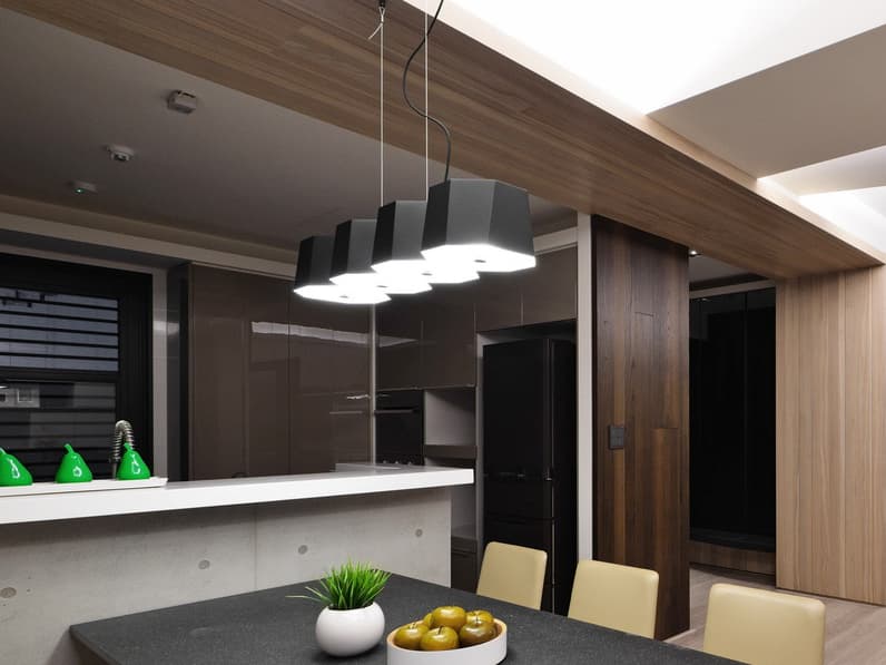 Seed Design Zhe Black Linear Island Pendant