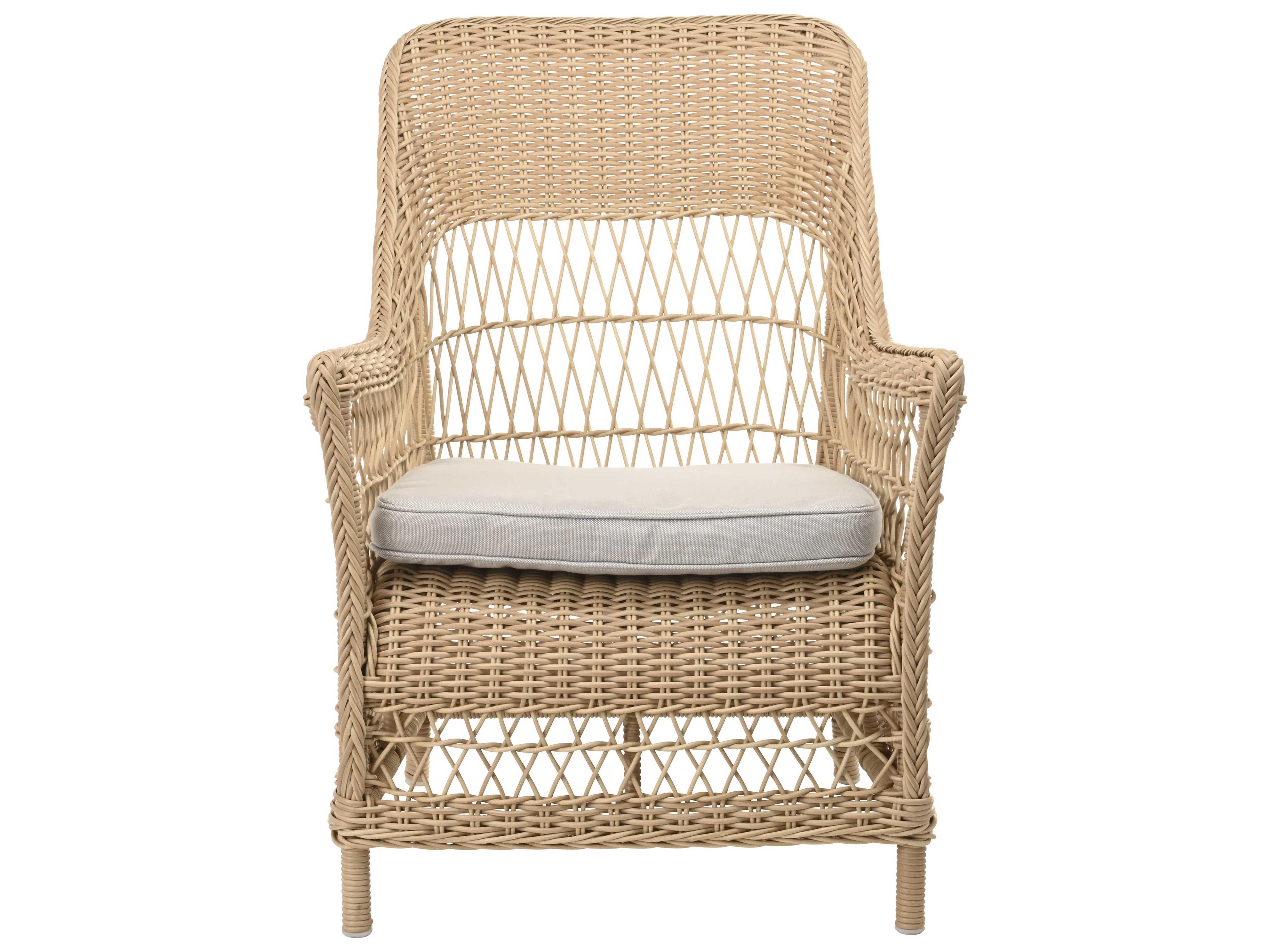 Sika Indoor Georgia Garden Dawn Gray Fabric Accent Chair with Cushion