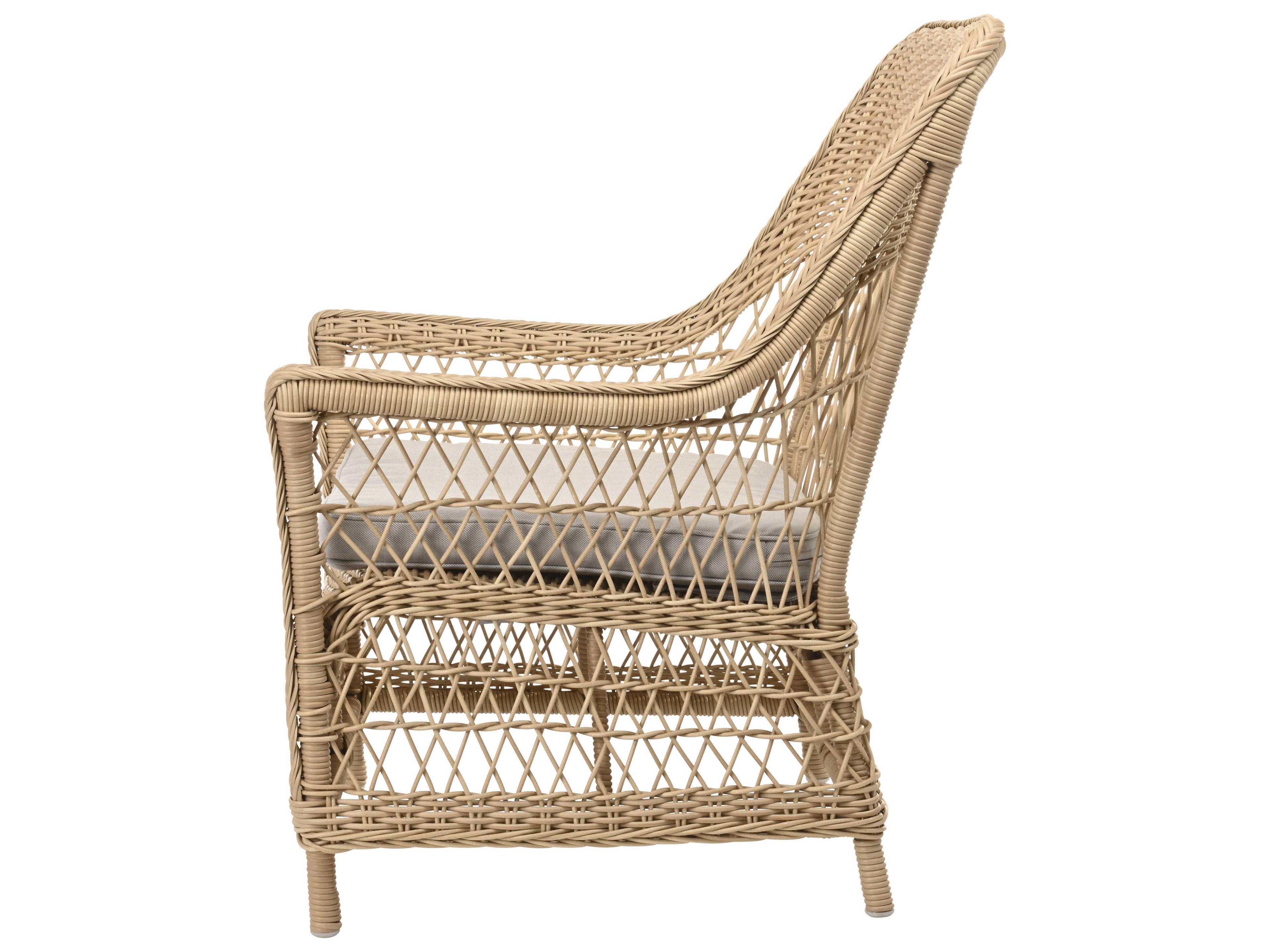 Sika Indoor Georgia Garden Dawn Gray Fabric Accent Chair with Cushion