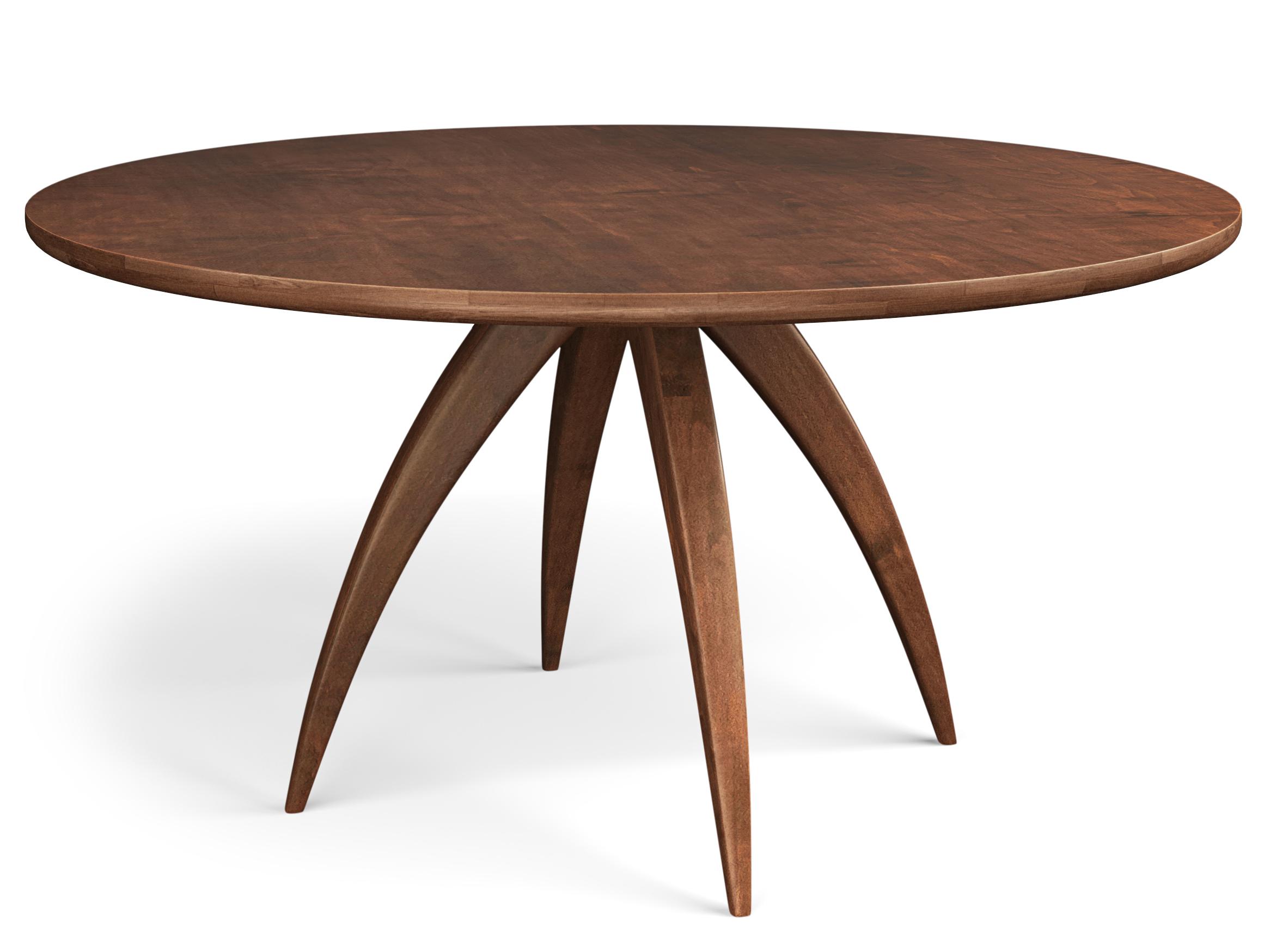 Saloom Terra Ella Organic Modern Dining Table