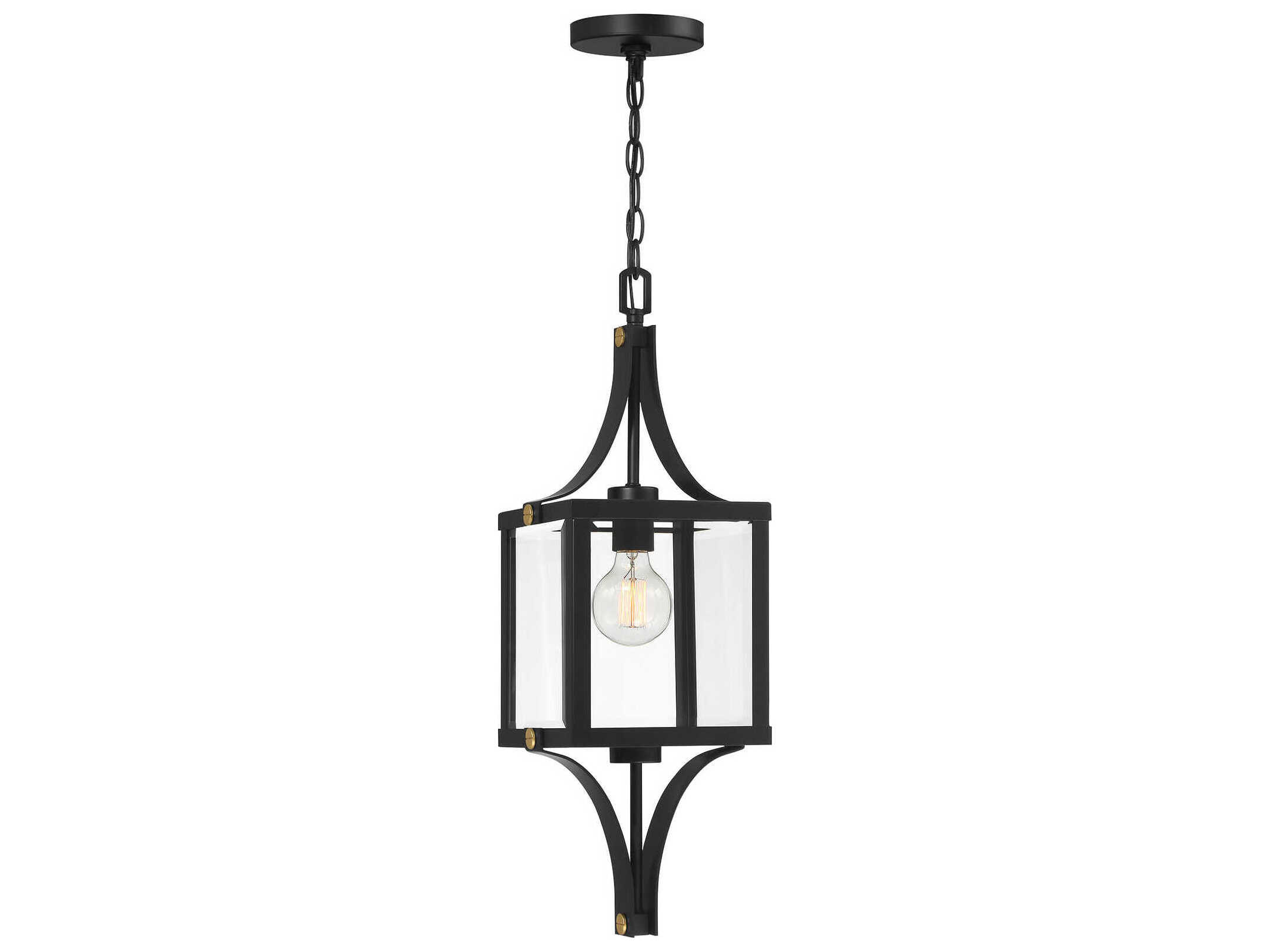 Savoy House Raeburn 1-Light Outdoor Hanging Light