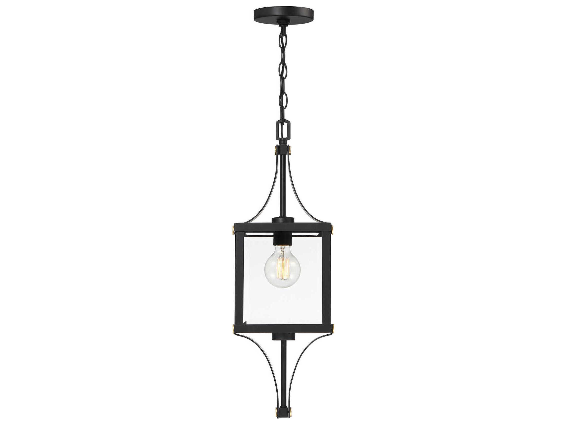 Savoy House Raeburn 1-Light Outdoor Hanging Light