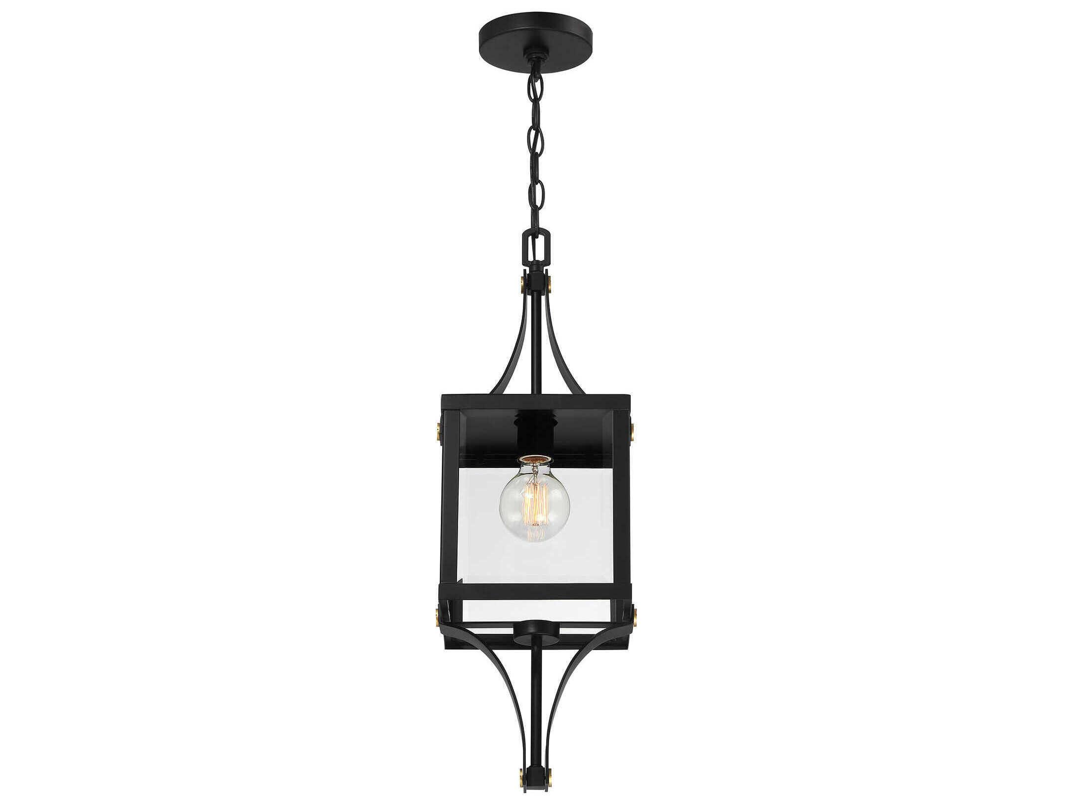 Savoy House Raeburn 1-Light Outdoor Hanging Light