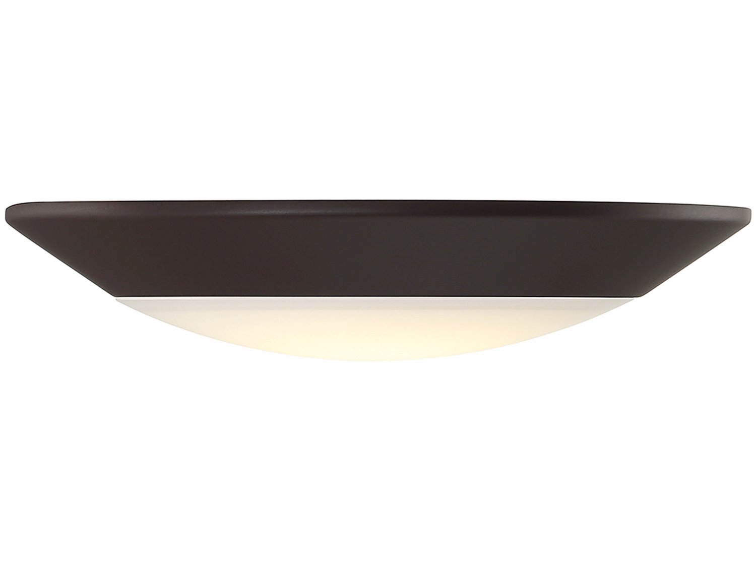 Savoy House 1 - Light Outdoor Ceiling Light