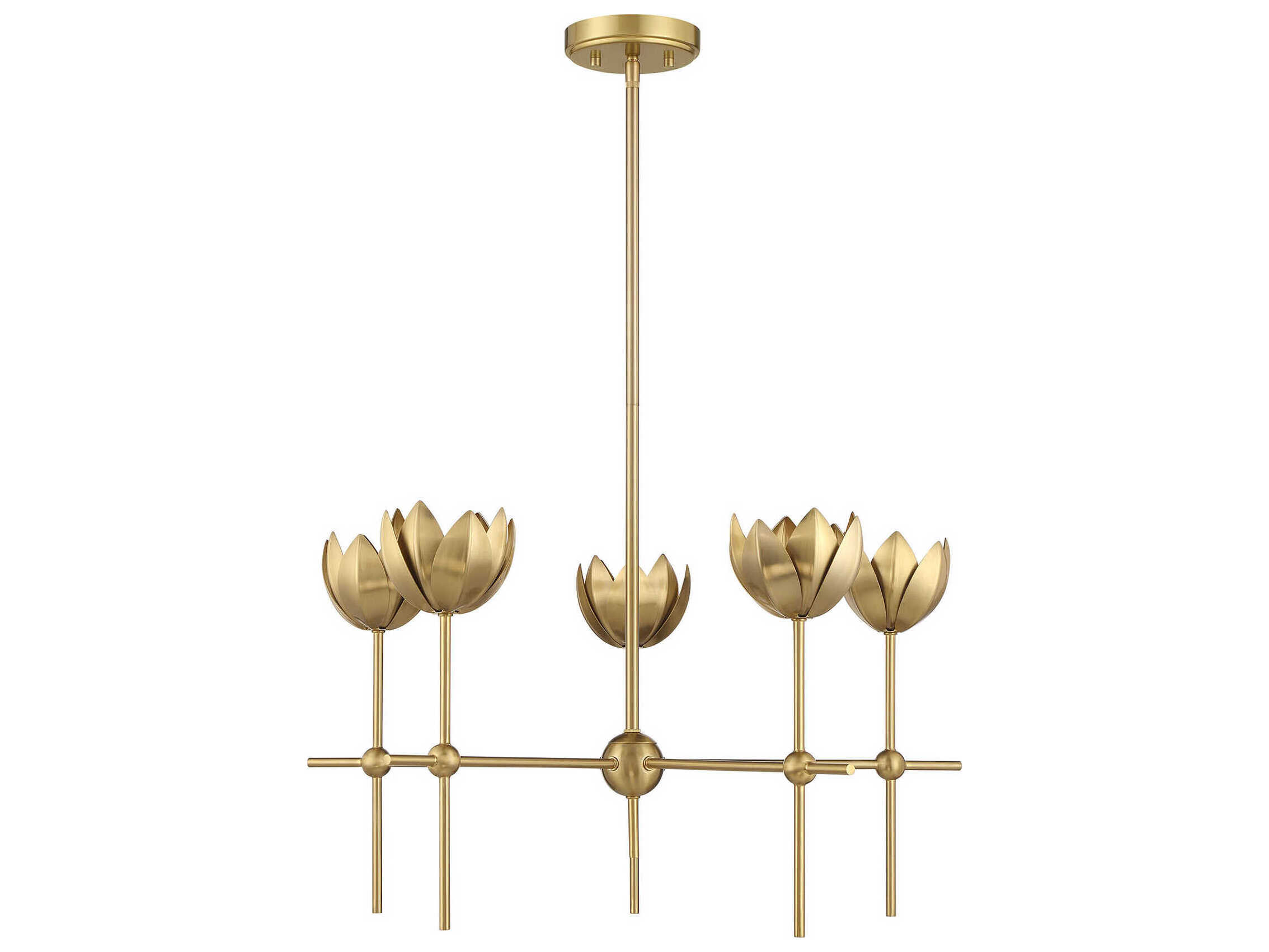 Savoy House Meridian 5-Light Natural Brass Chandelier