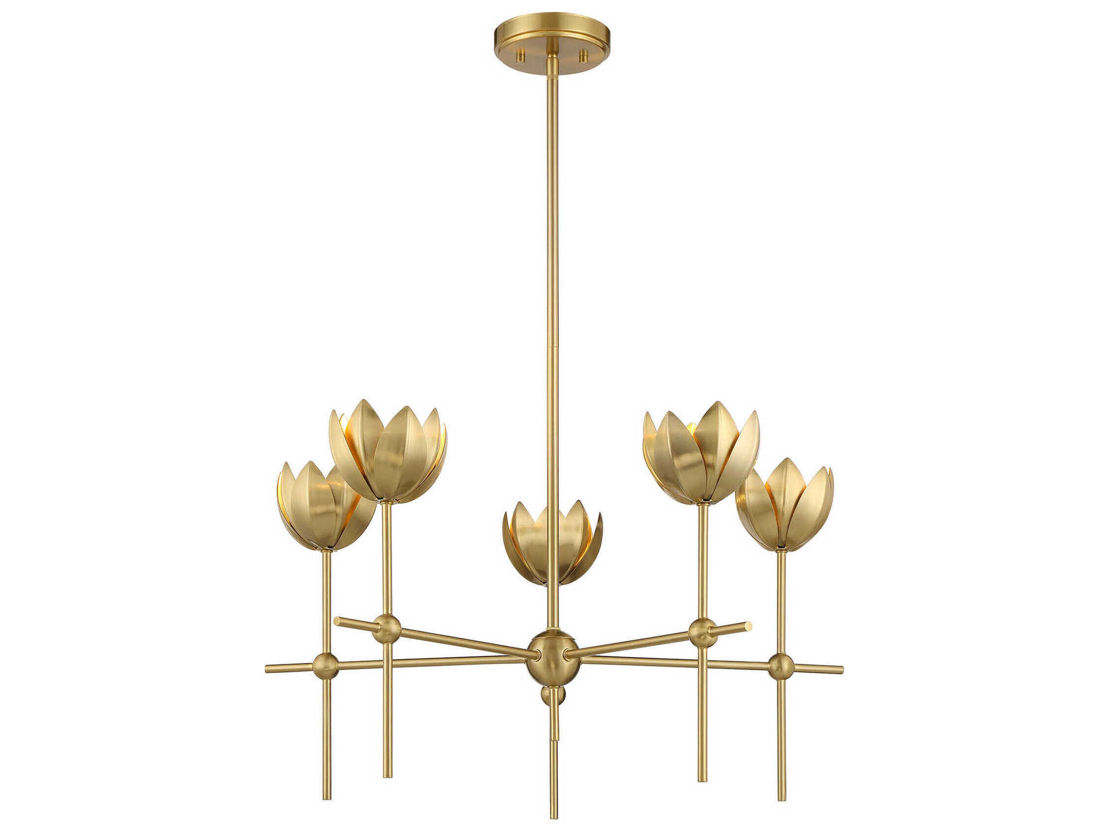 Savoy House Meridian 5-Light Natural Brass Chandelier