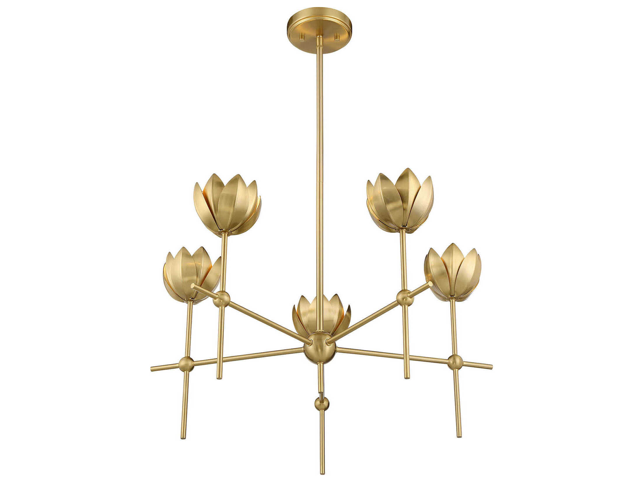 Savoy House Meridian 5-Light Natural Brass Chandelier