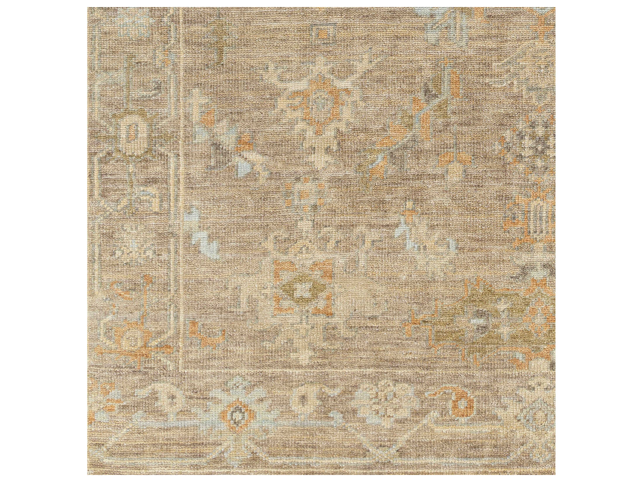 Surya Antalya Bordered Area Rug