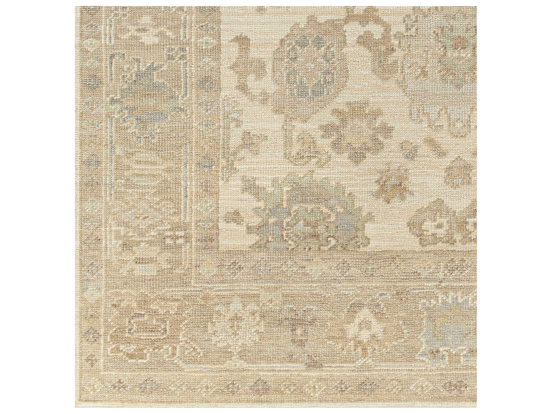 Surya Antalya Bordered Area Rug