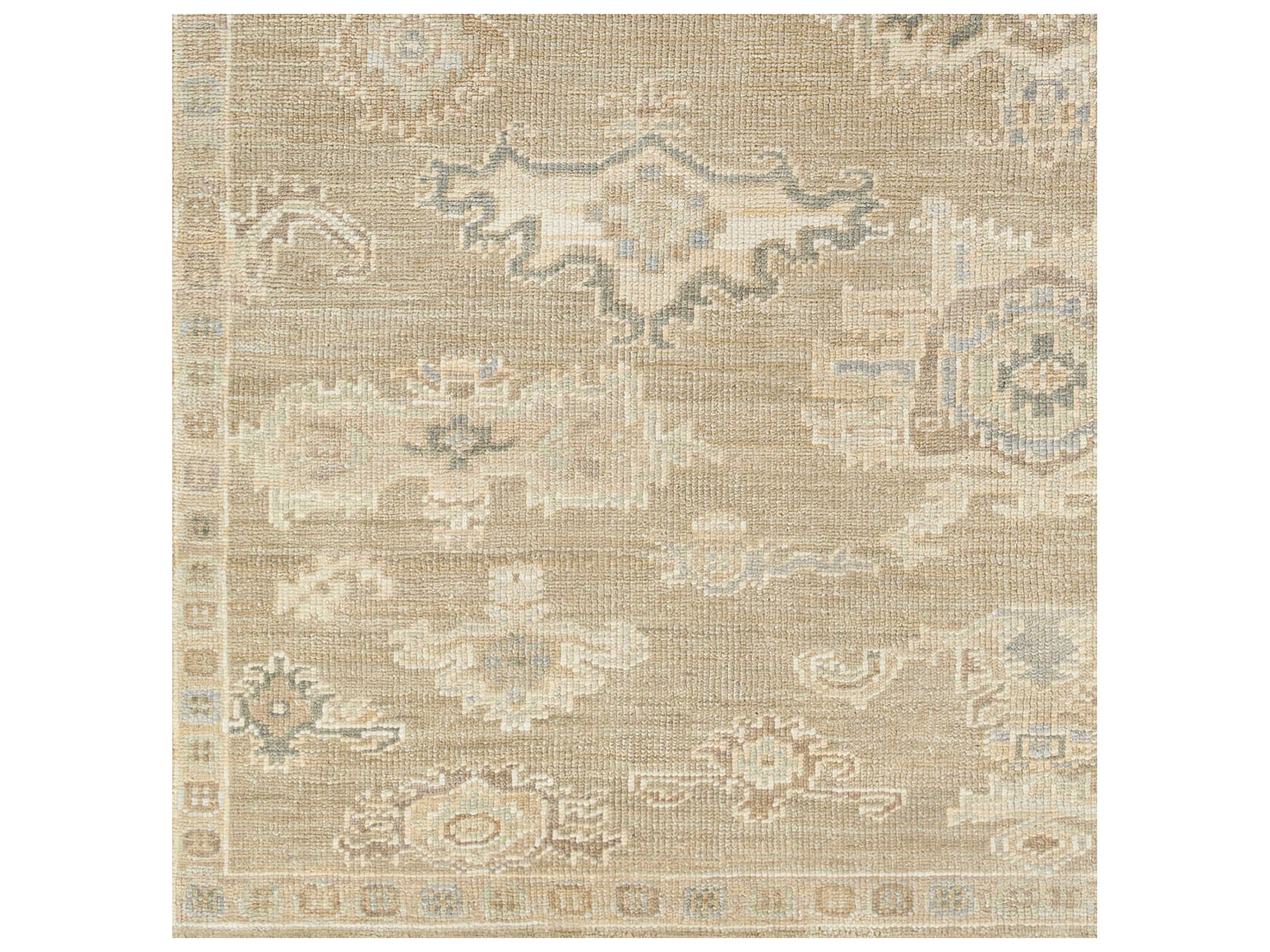 Surya Antalya Bordered Area Rug