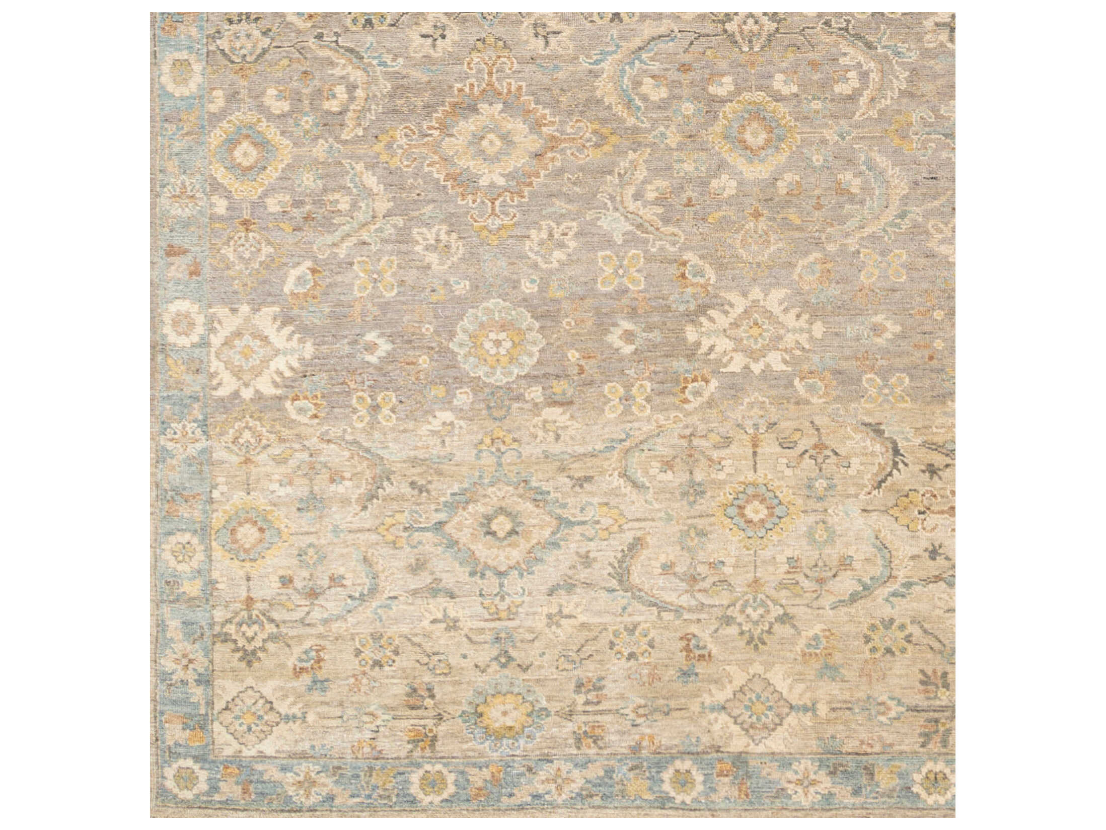 Surya Anatolia Bordered Area Rug