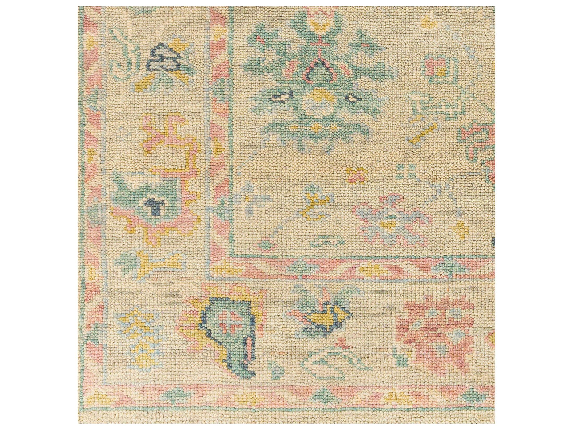 Surya Biscayne Bordered Area Rug