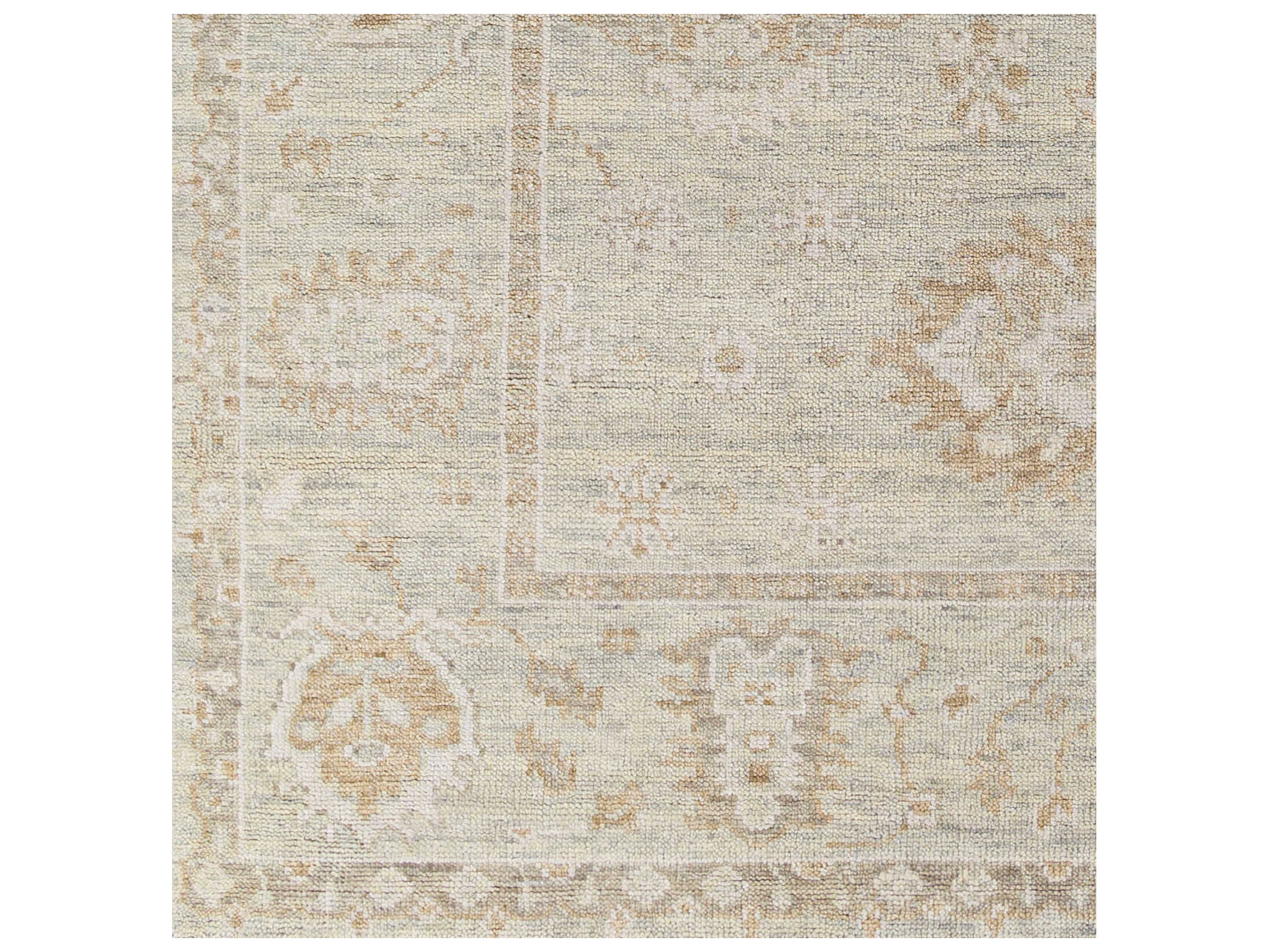 Surya Biscayne Bordered Area Rug