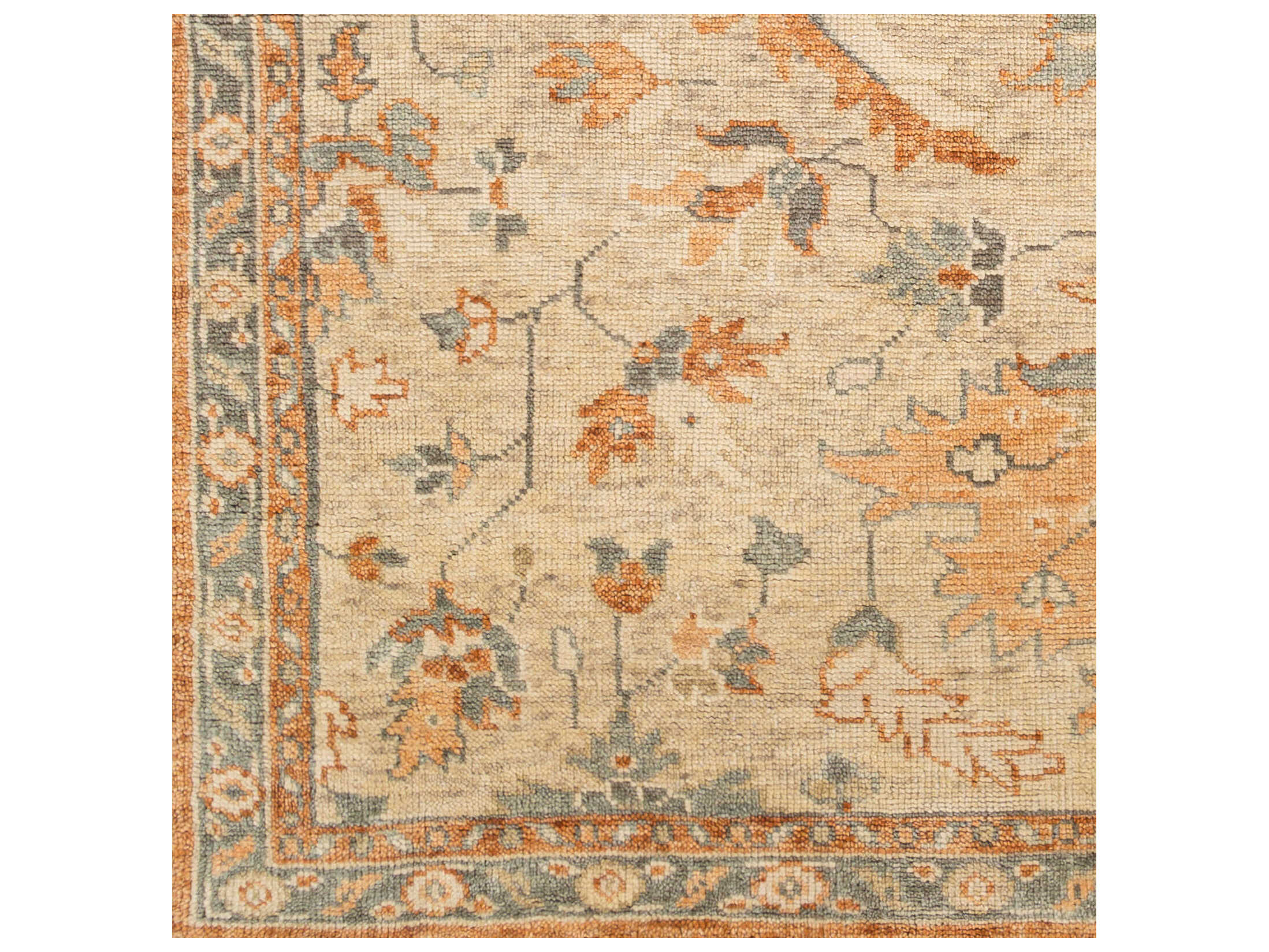 Surya Biscayne Bordered Area Rug