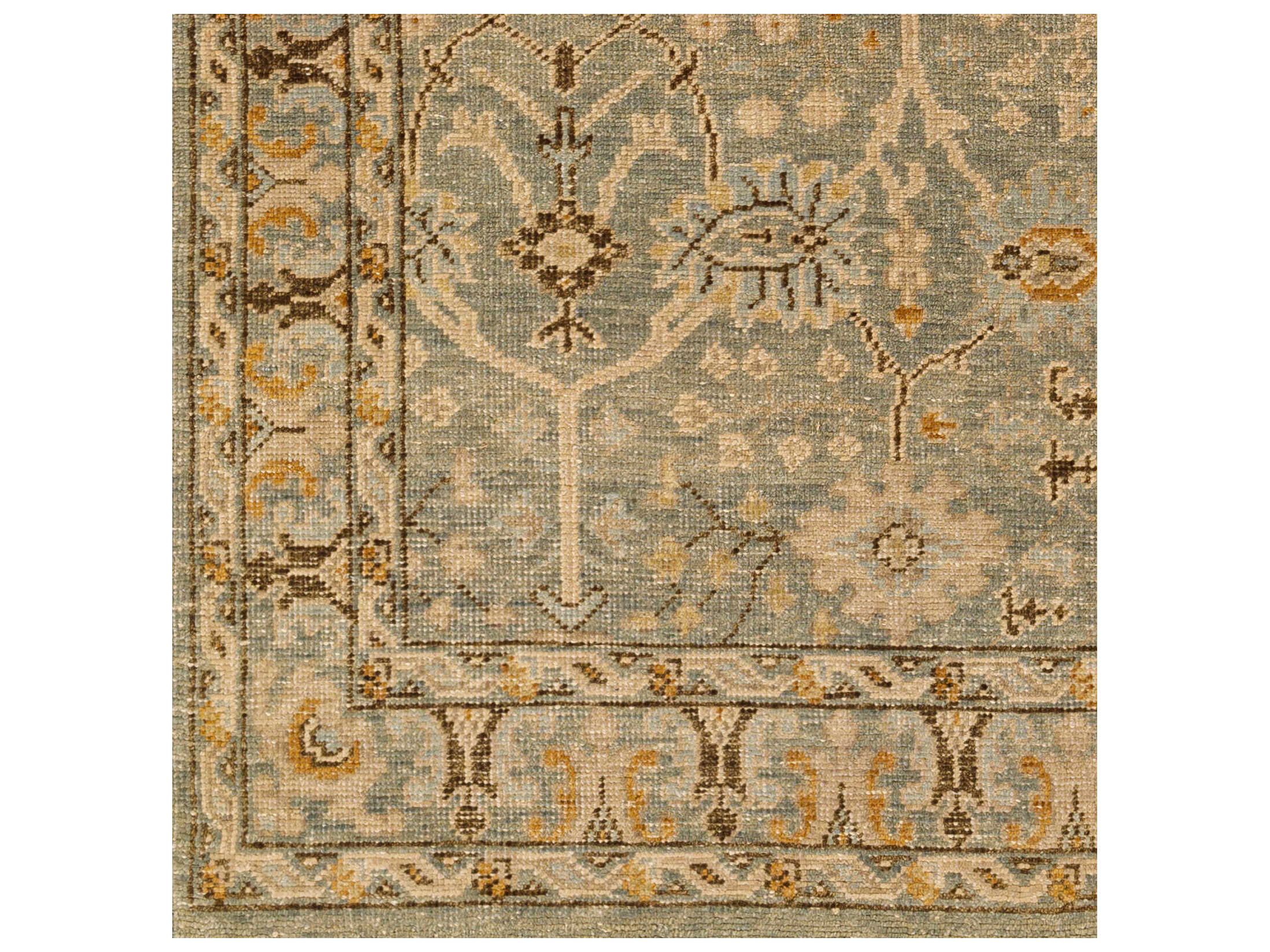 Surya Reign Bordered Area Rug