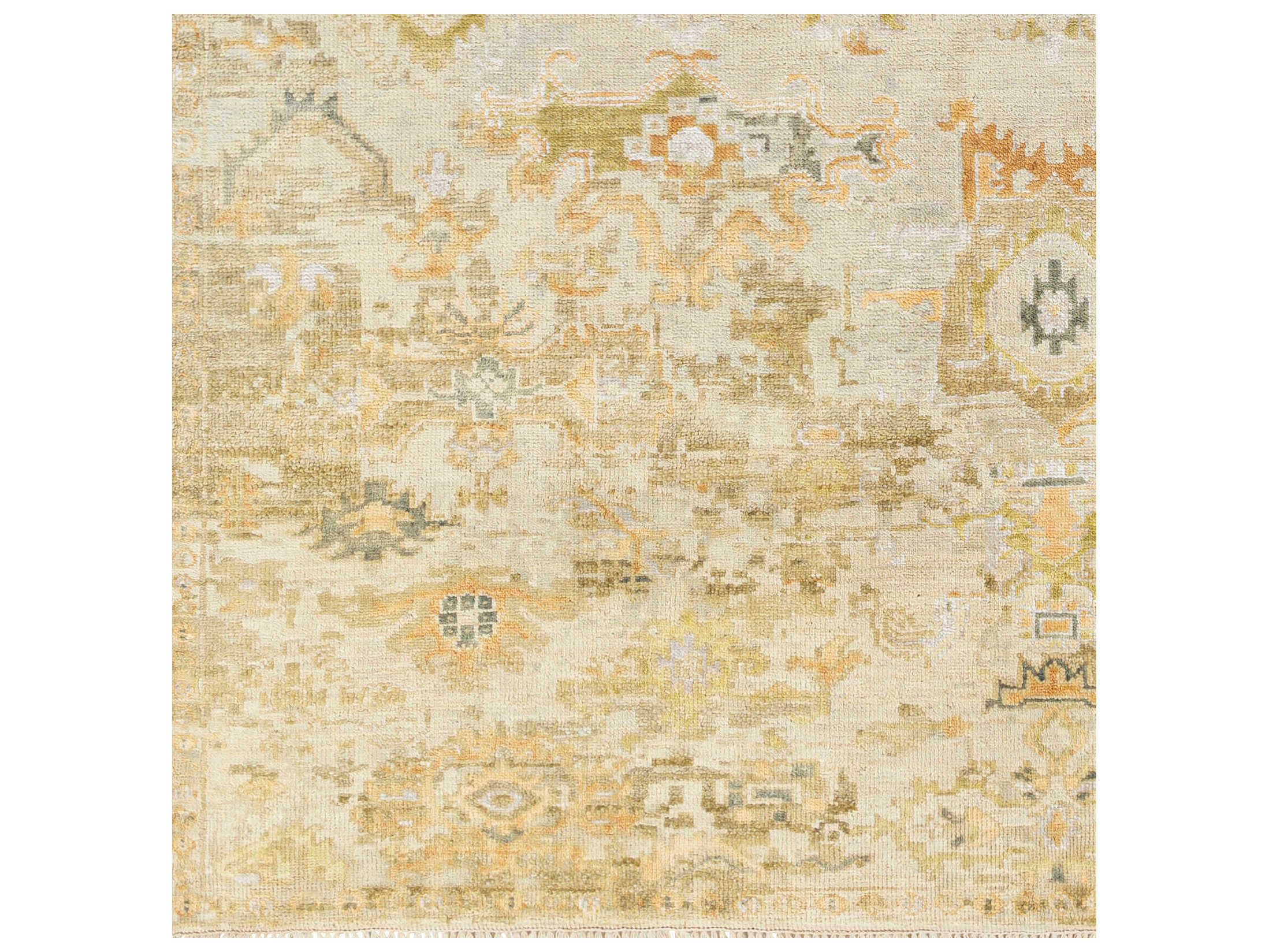 Surya Shiraz Bordered Area Rug