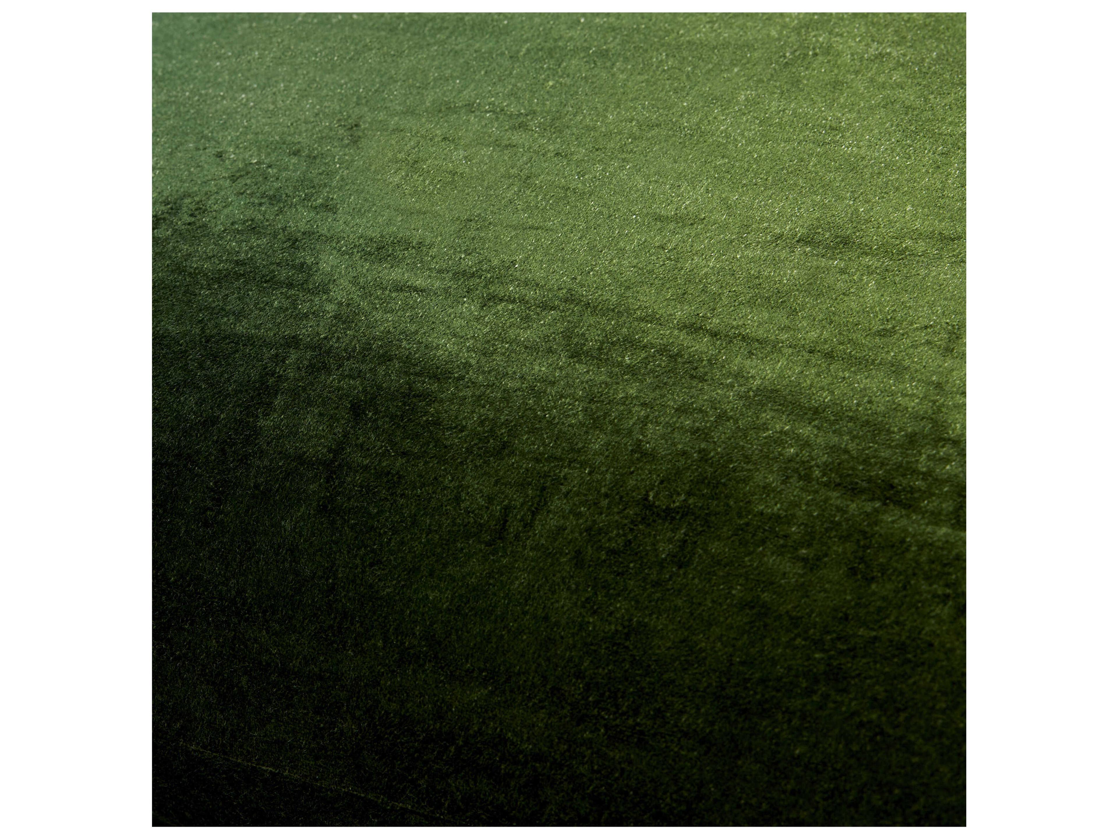 Surya Theodosia Dark Green Pillow