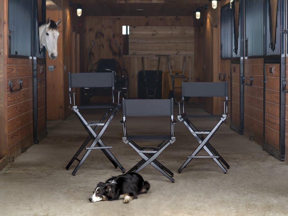 Telescope Casual Director Chairs Wood Sling Chair Set