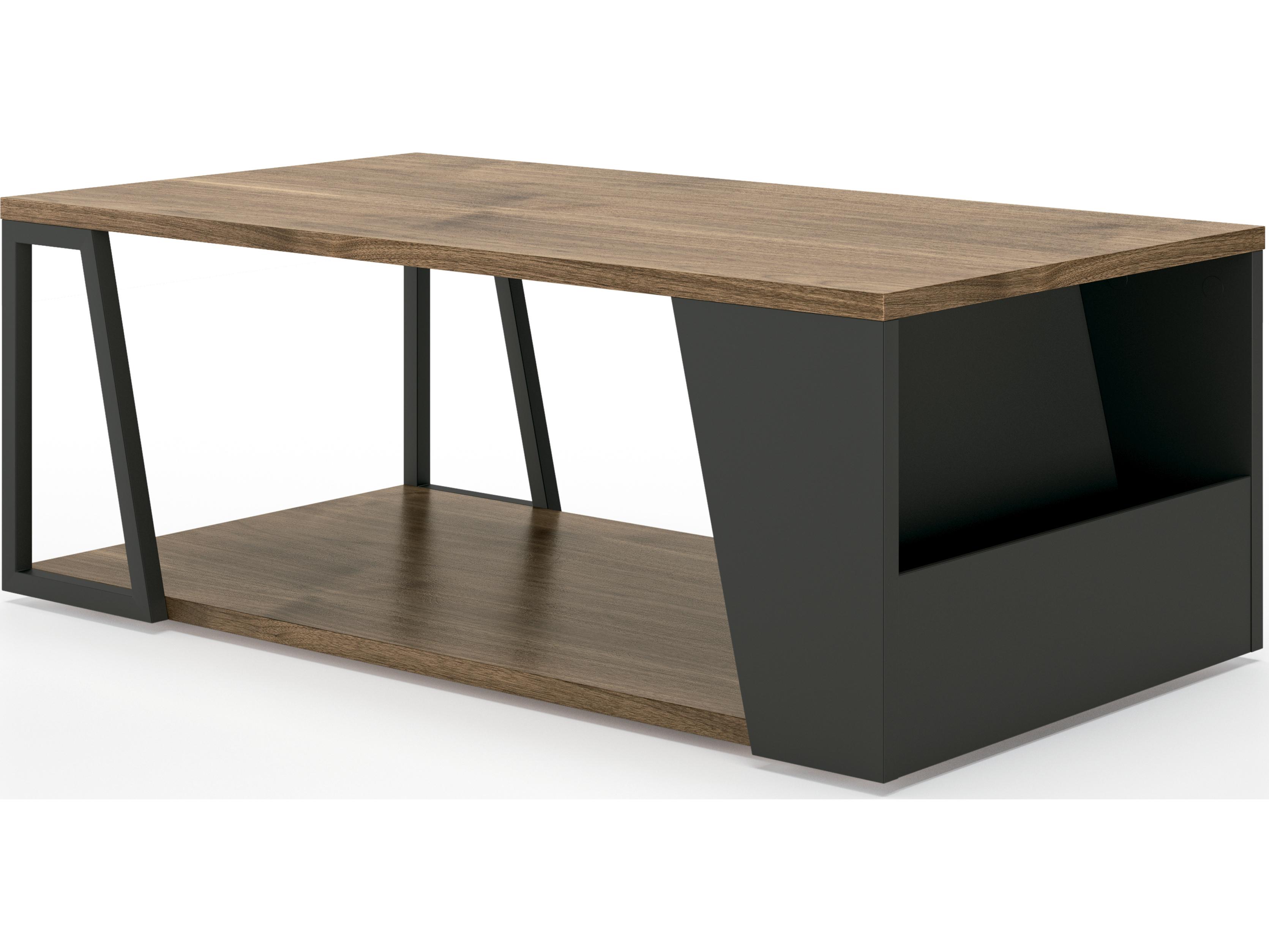 TemaHome Albi Rectangular Wood Walnut Black Coffee Table