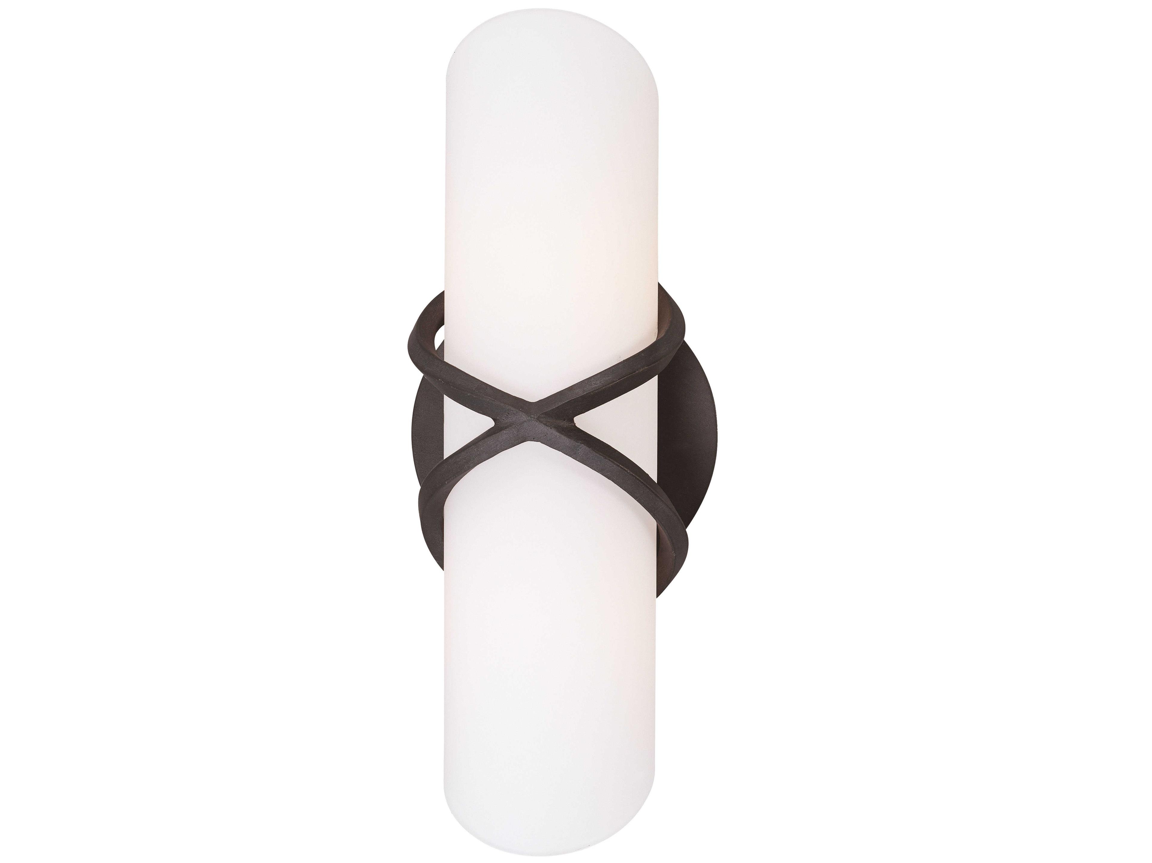 Troy Lighting Roxbury 2-Light Graphite Gray Glass Vanity Light