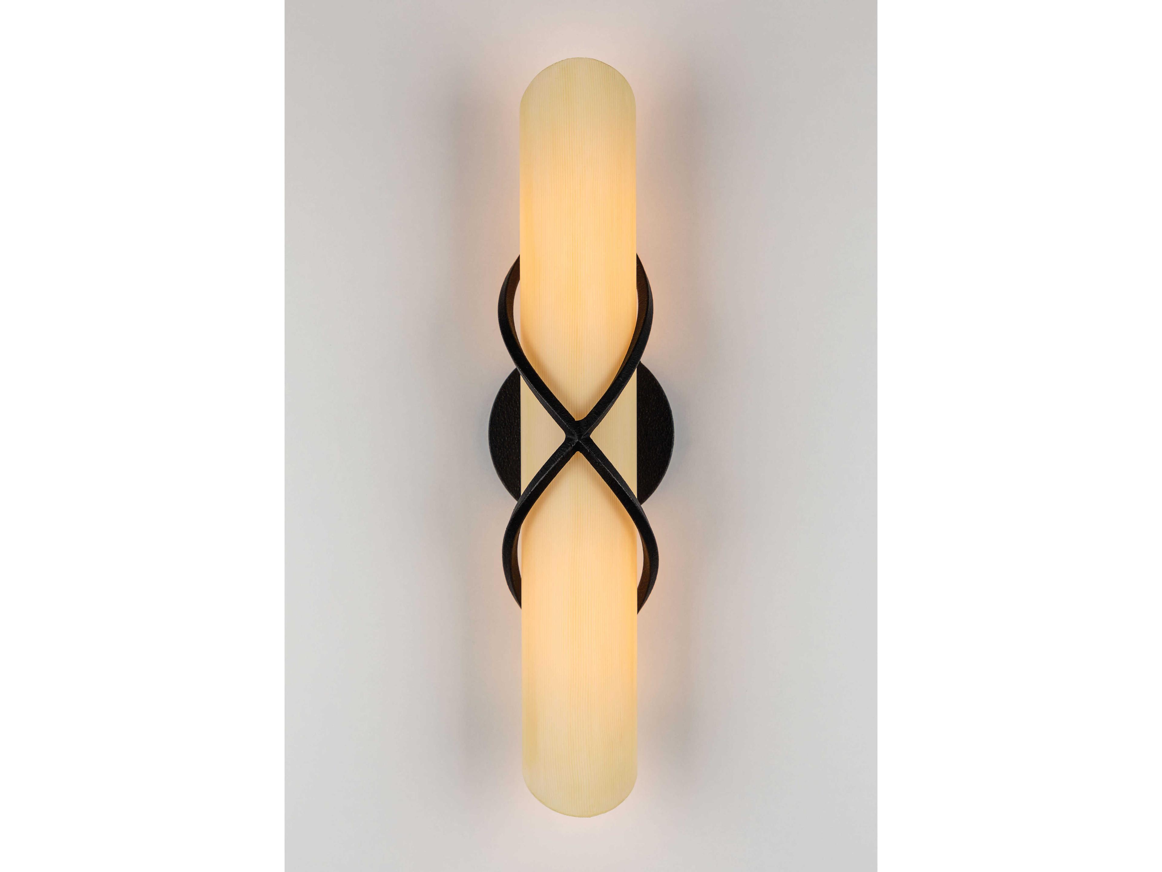 Troy Lighting Roxbury 2-Light French Iron Black Glass Wall Sconce