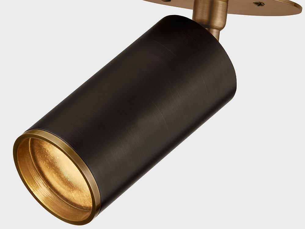 Troy Lighting Caleb 1-Light Patina Brass Bronze Cylinder Flush Mount