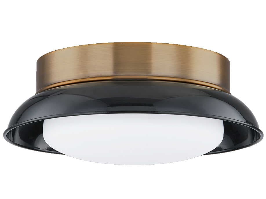 Troy Lighting Arnie 2-Light Patina Brass Black Glass Flush Mount