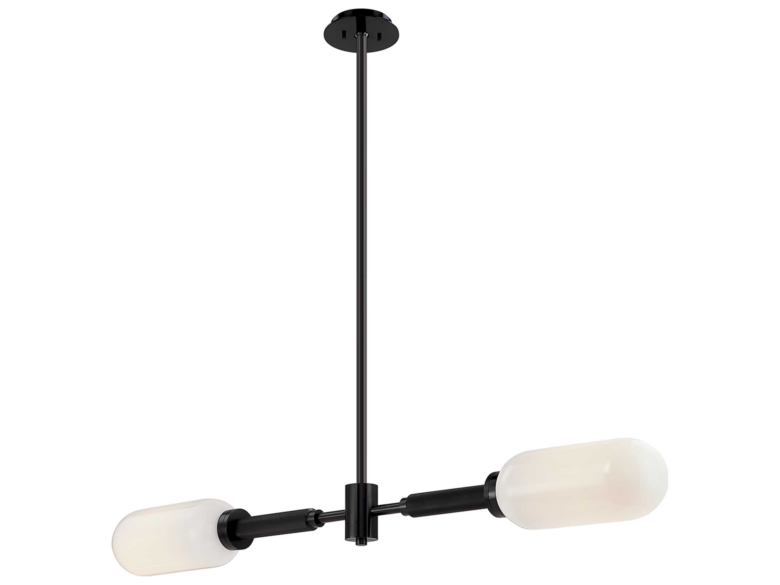 Troy Lighting Annex 2-Light Anodized Black Glass Cylinder Island Pendant