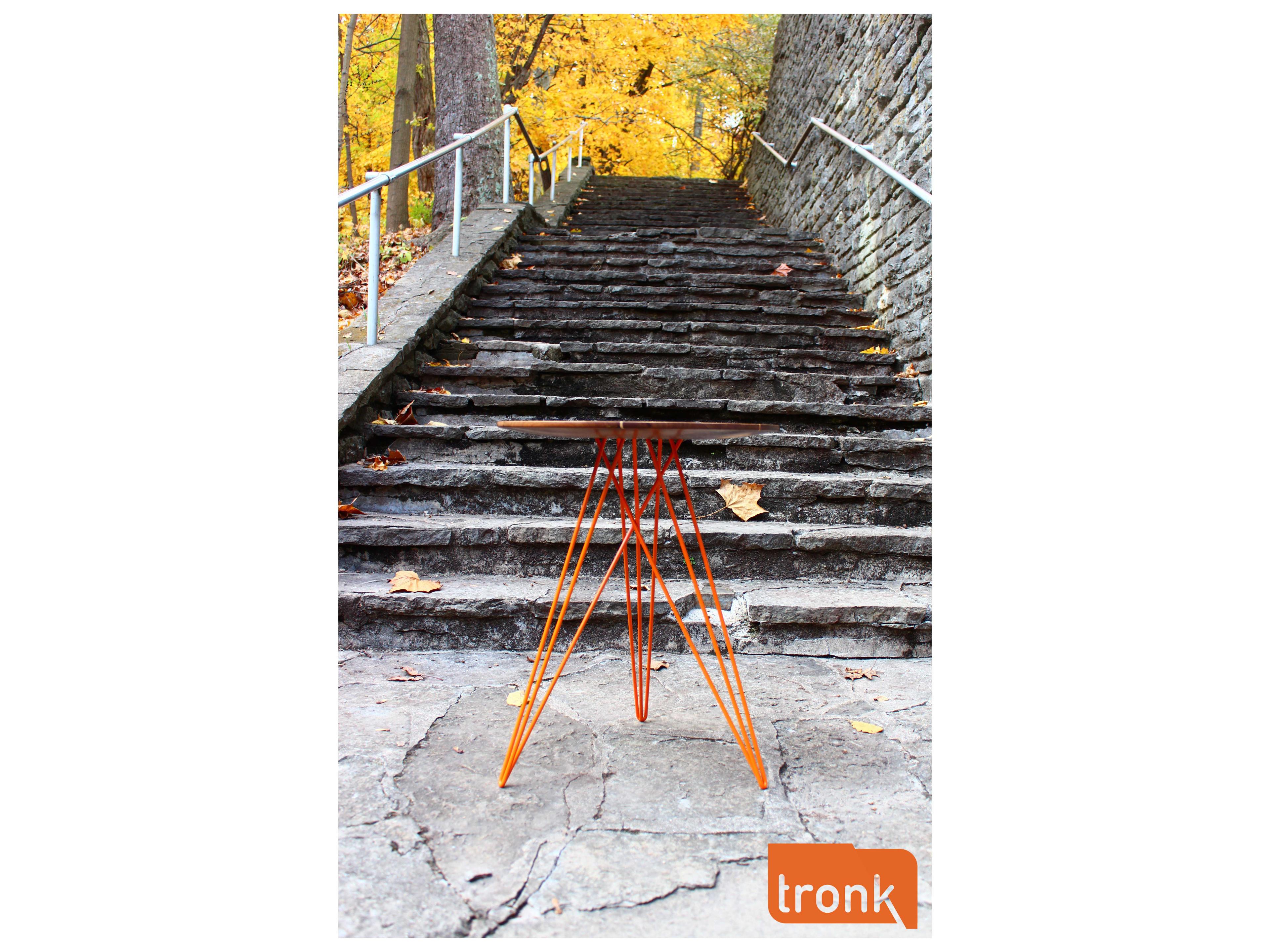 Tronk Design Hudson Round Wood End Table