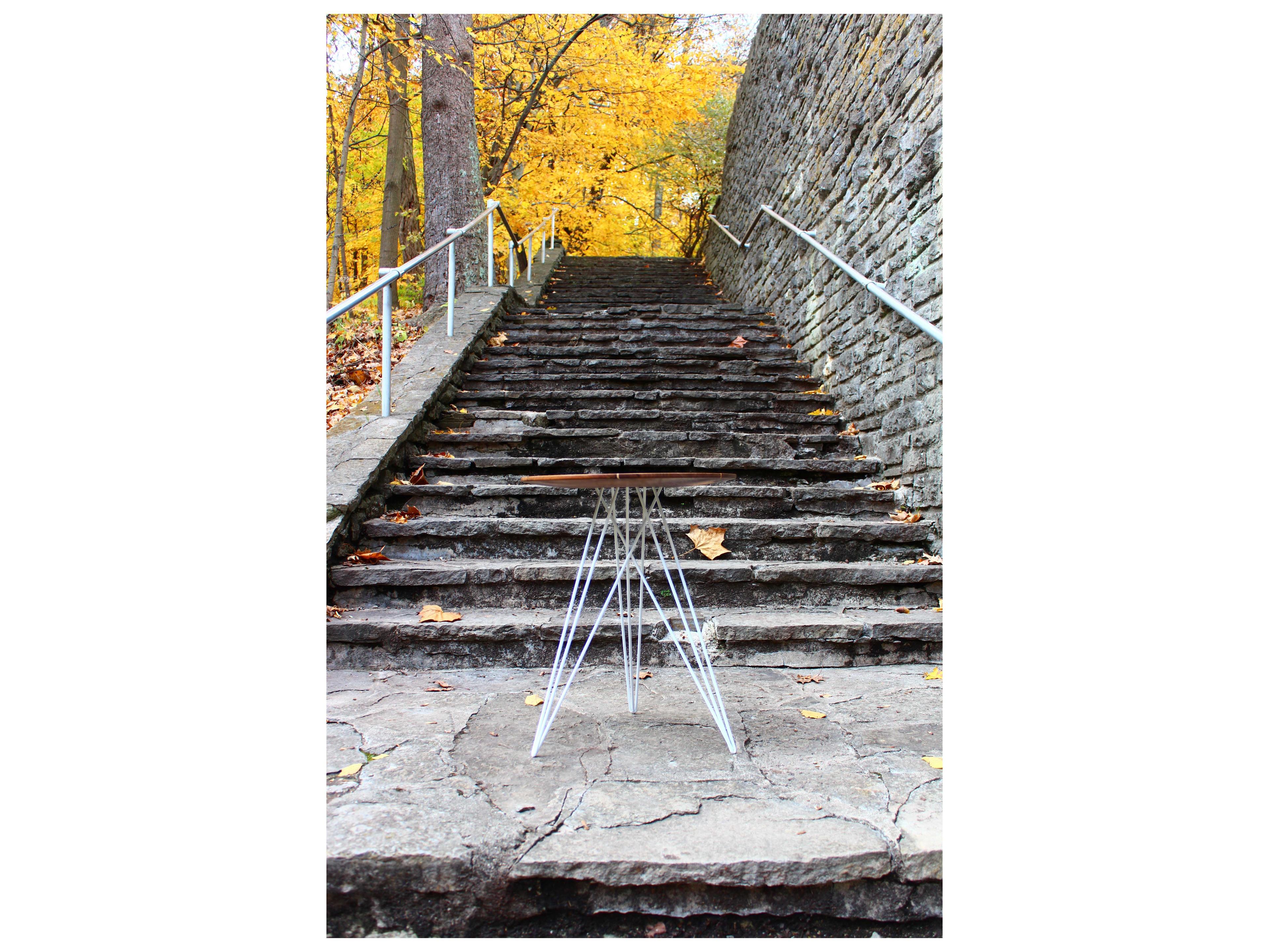 Tronk Design Hudson Round Wood End Table