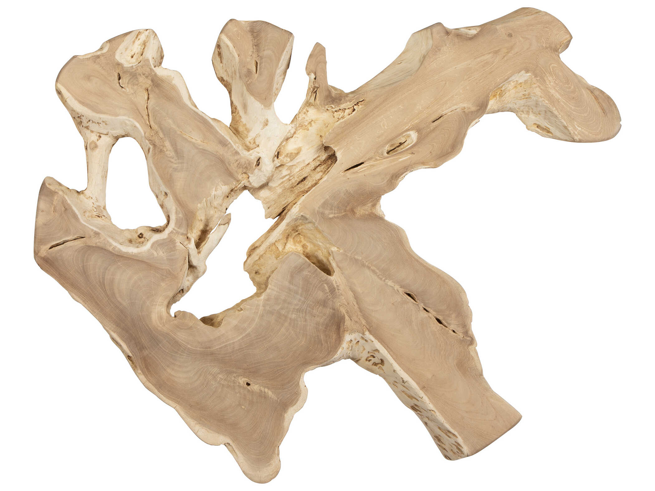 Uttermost Terrains Natural Wood Wall Decor