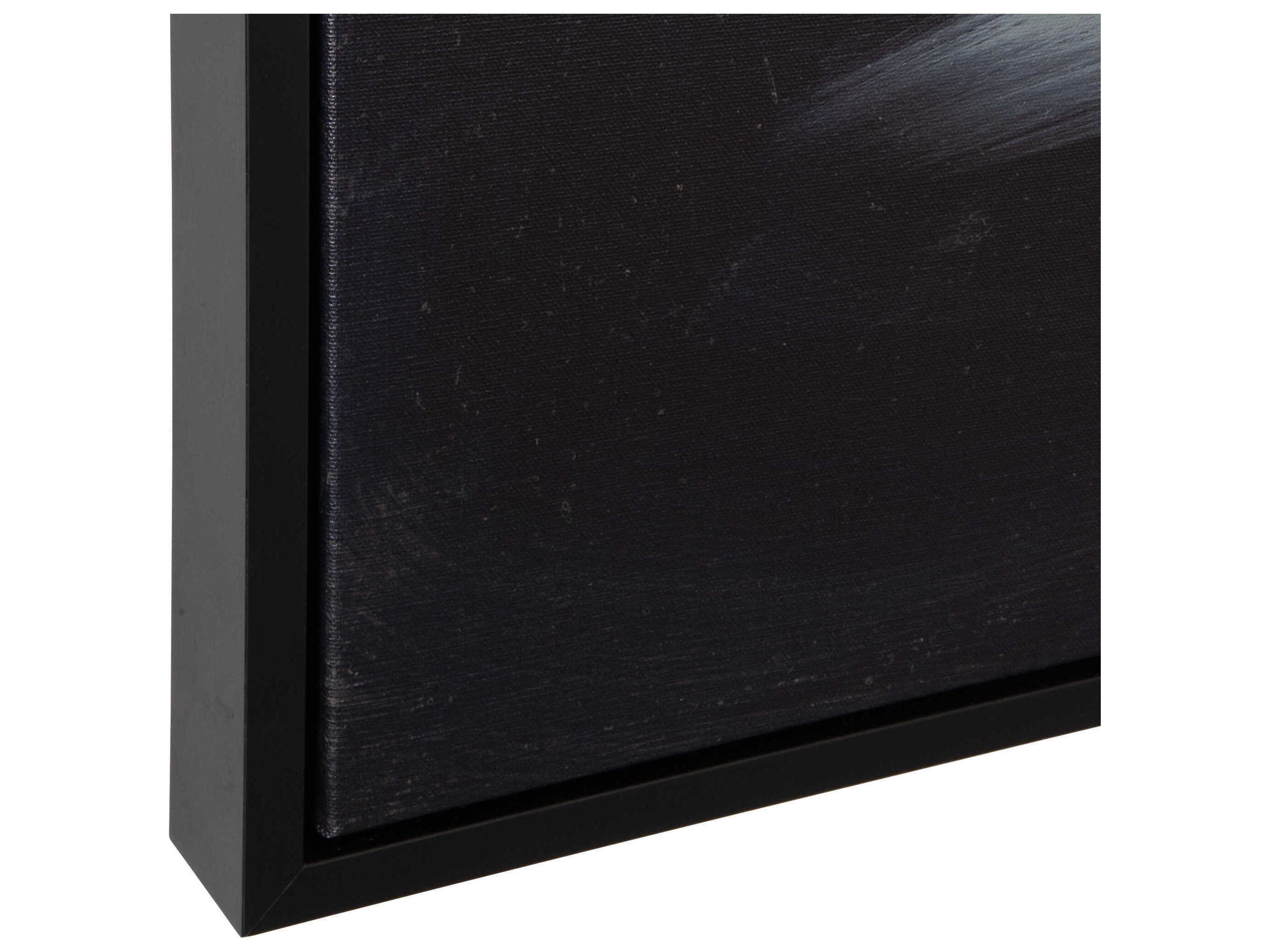 Uttermost Peony Framed Floral Art