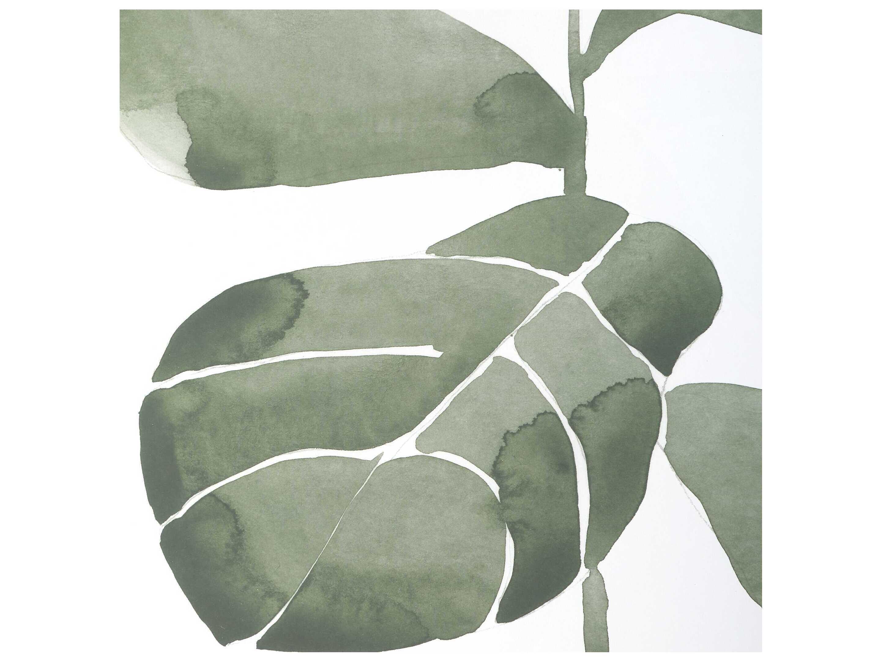 Uttermost Fiddle Head Leaf Botanical Prints Set or 4