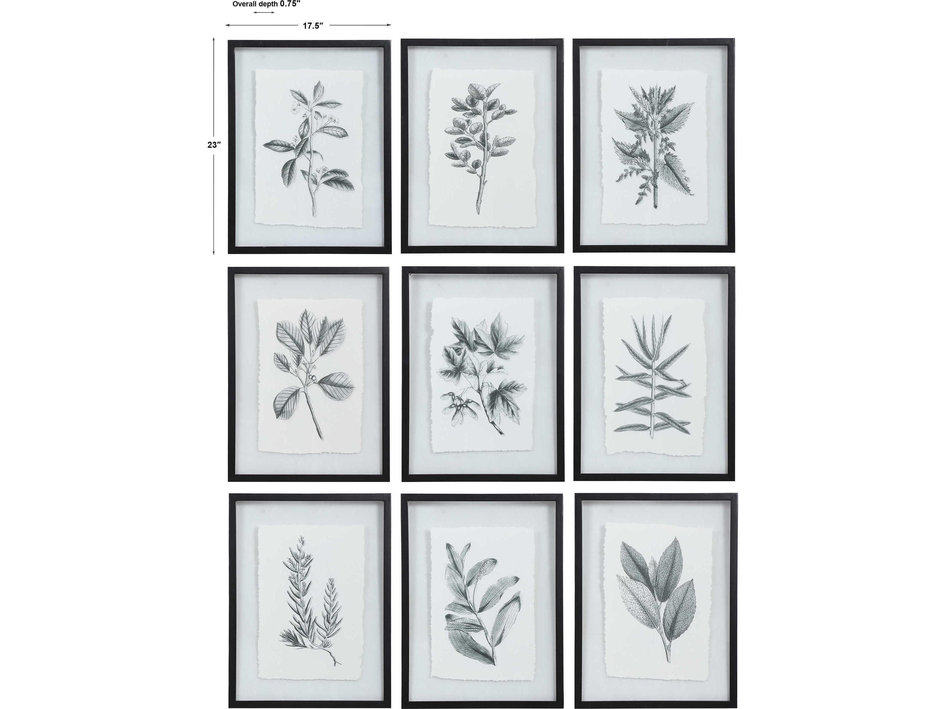 Uttermost Farmhouse Florals Canvas Wall Art Set of 9