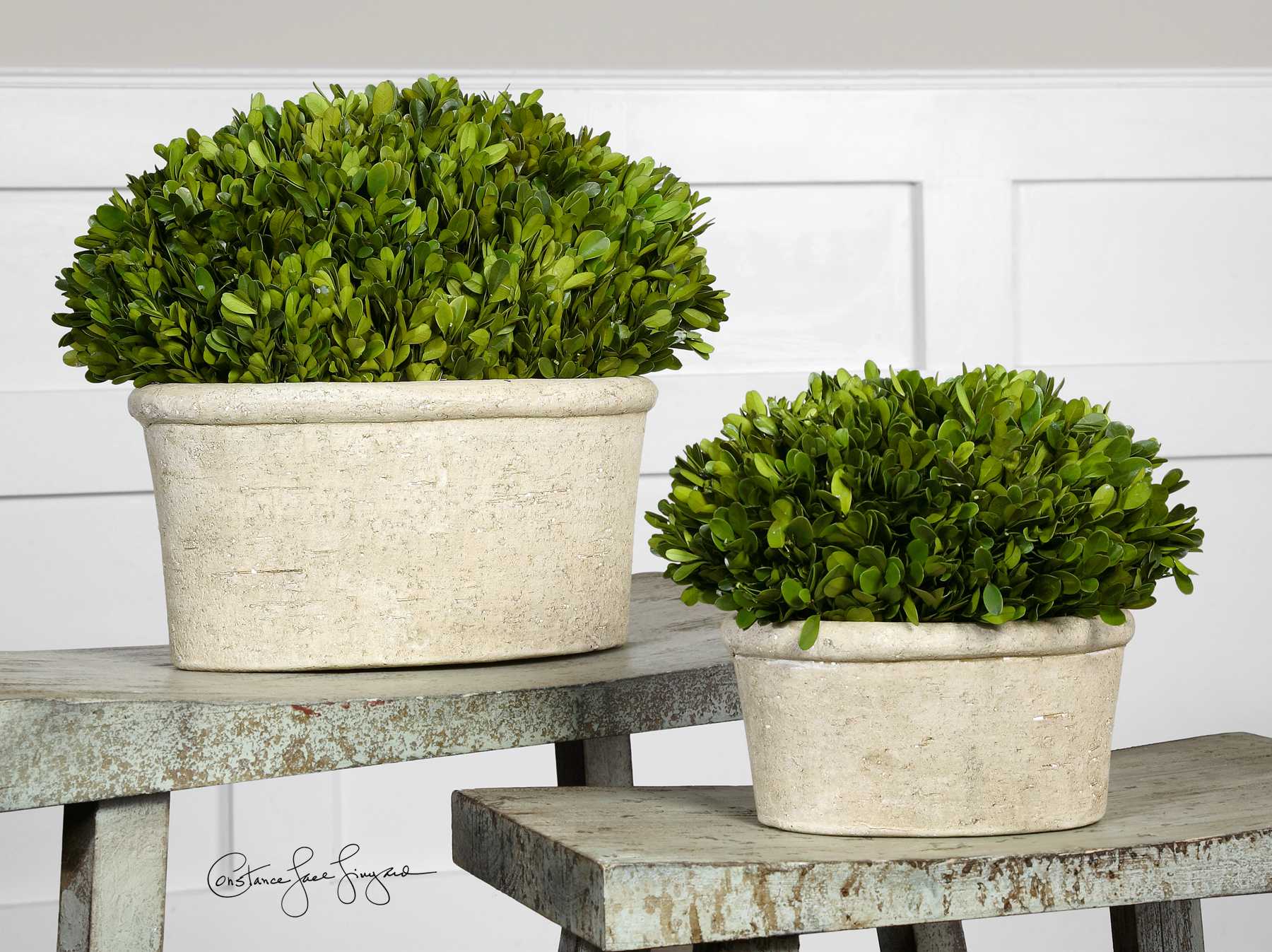 Uttermost Oval Domes Preserved Boxwood Set of 2