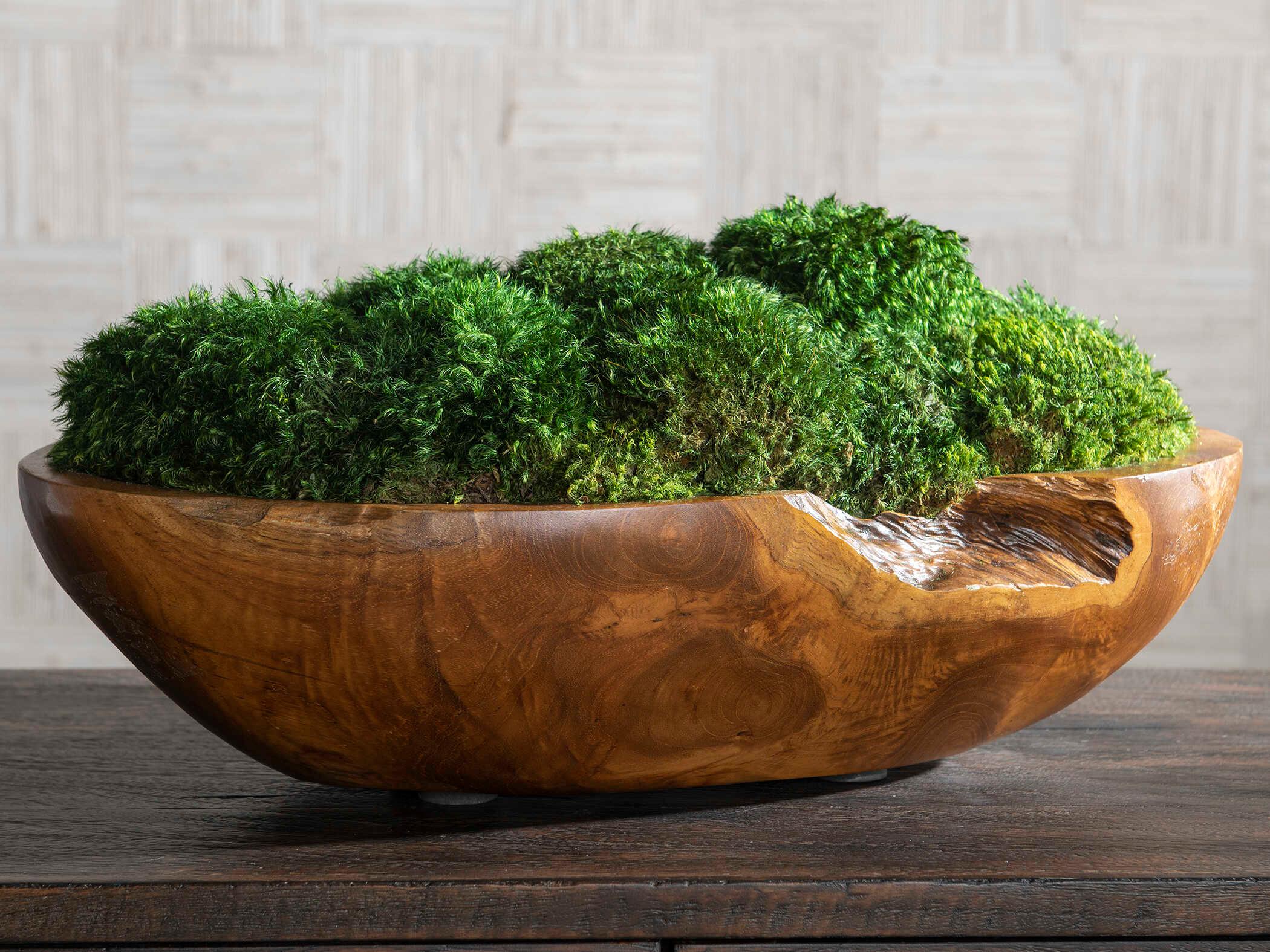 Uttermost Kinsale Moss Centerpiece