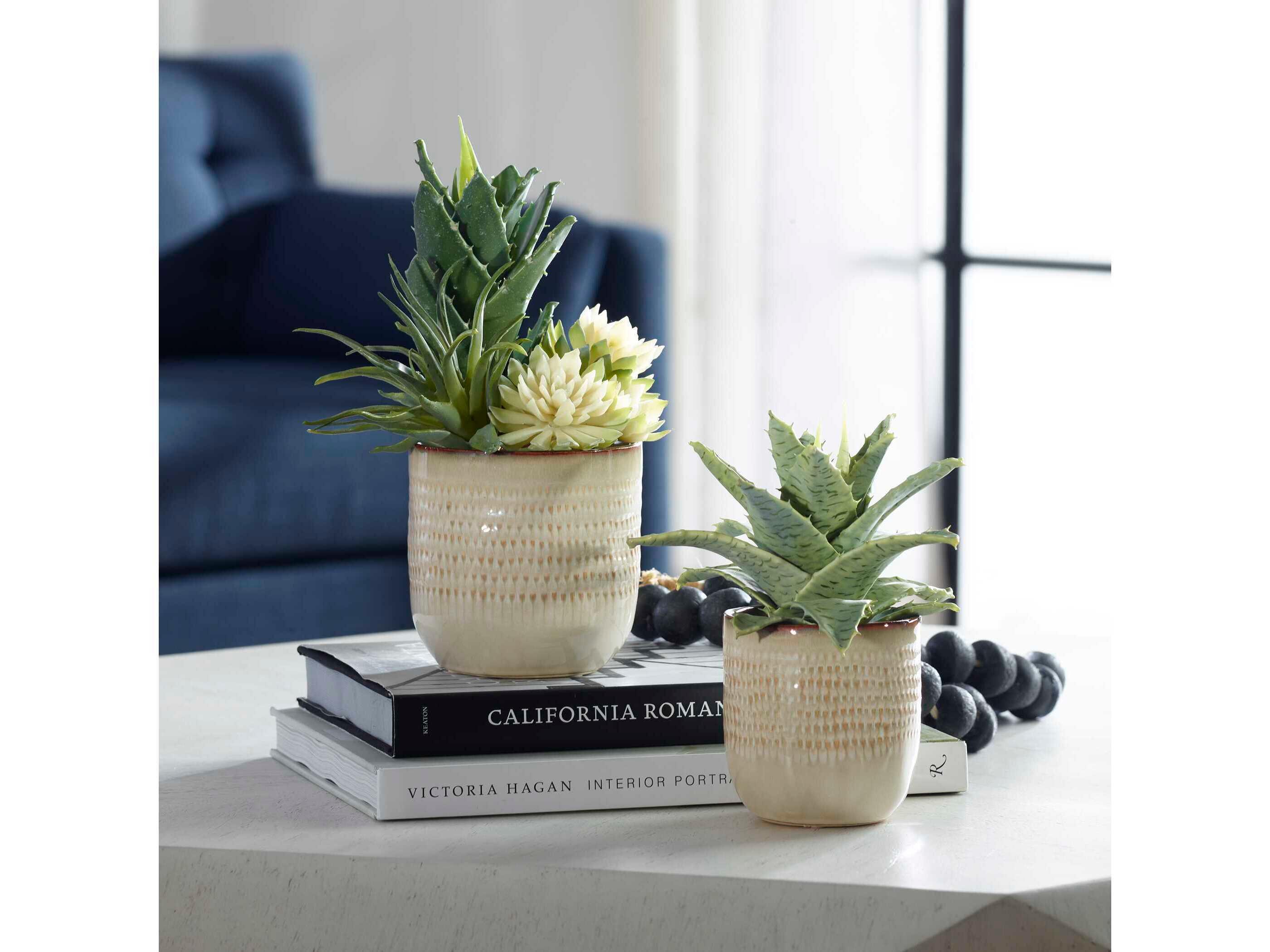 Uttermost Seaside Succulents Set of 2