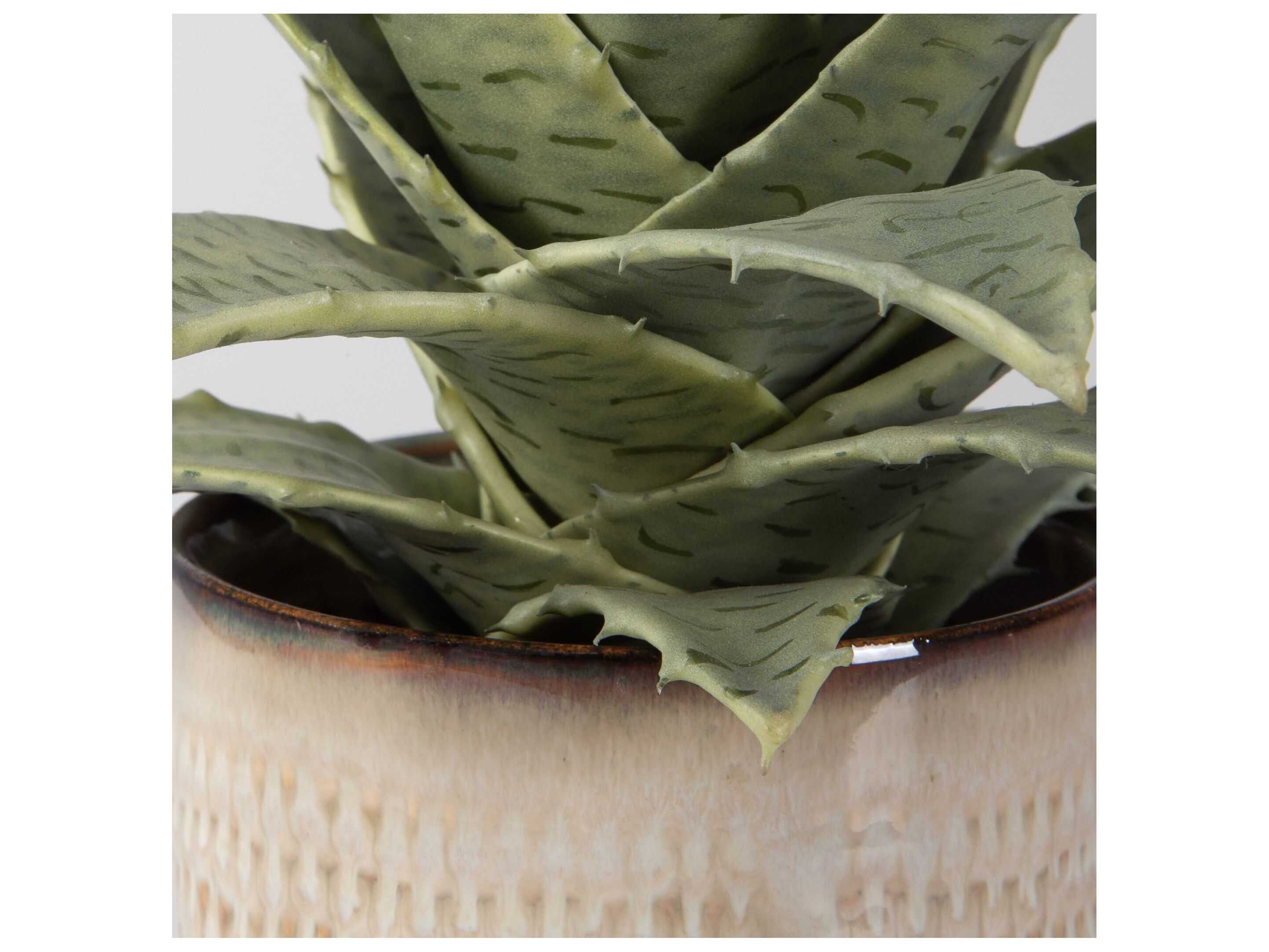 Uttermost Seaside Succulents Set of 2