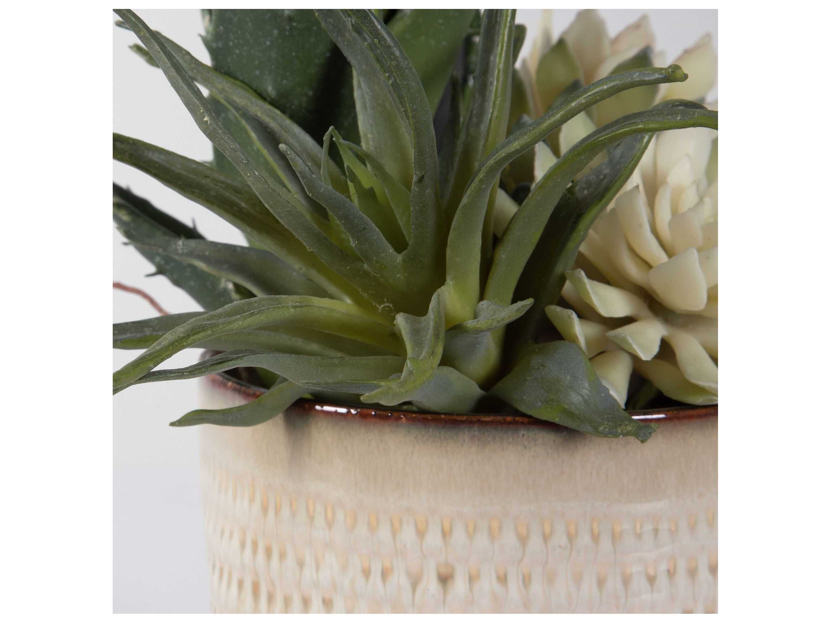 Uttermost Seaside Succulents Set of 2